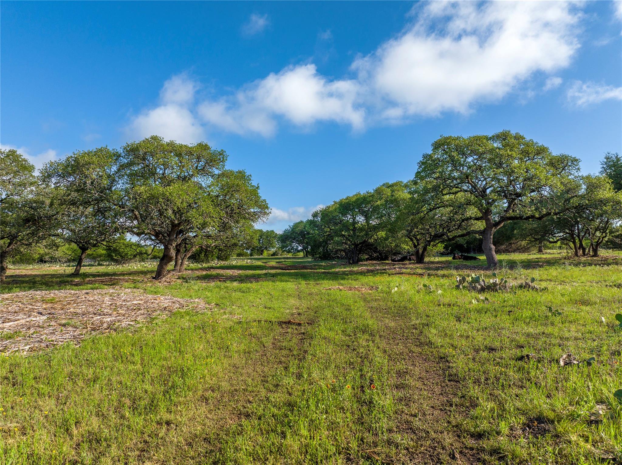 Details for Tbd Cr108  , Burnet, TX 78611