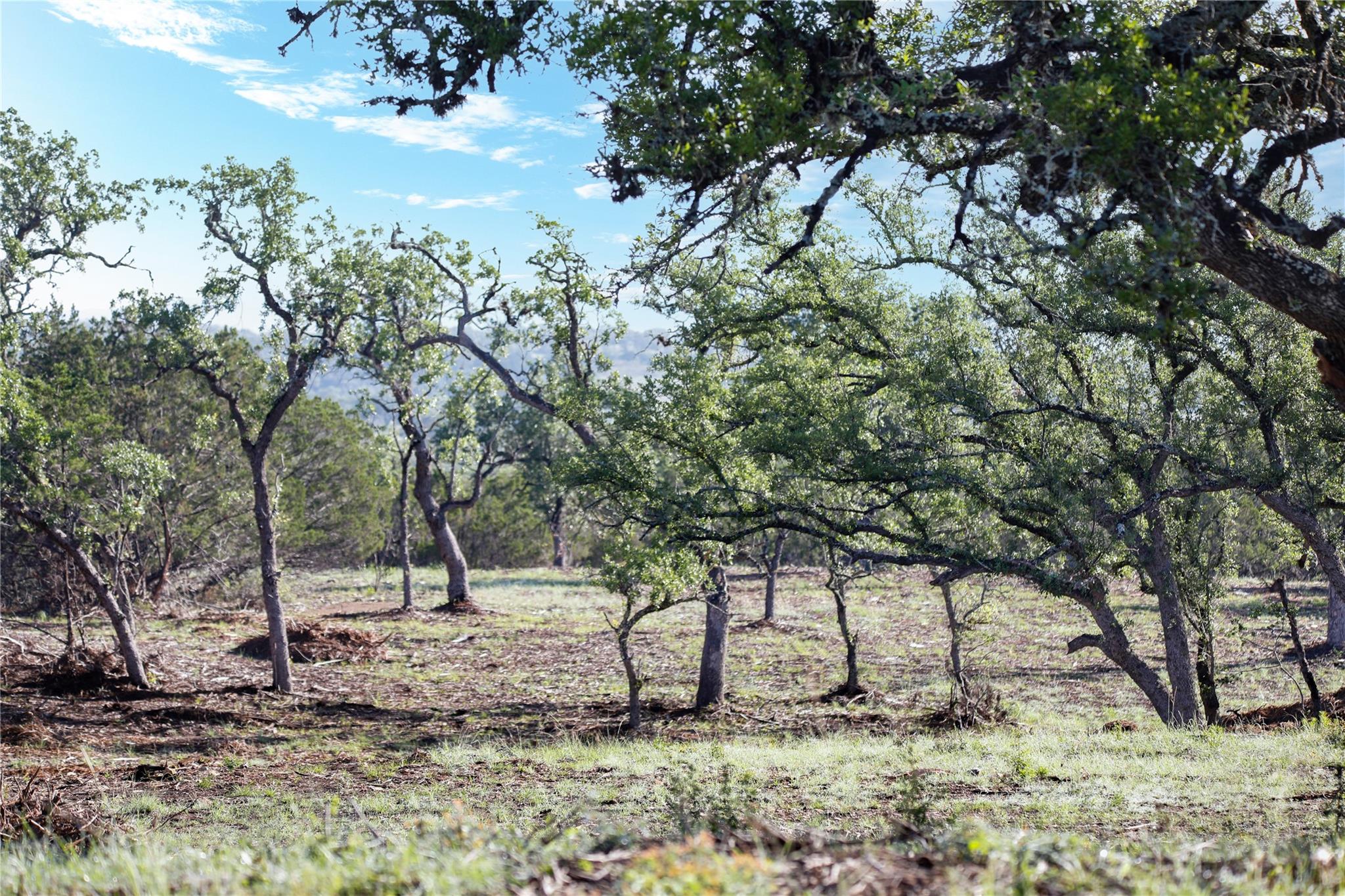 Image 39 of 40 For 000 Kyle Ranch Road