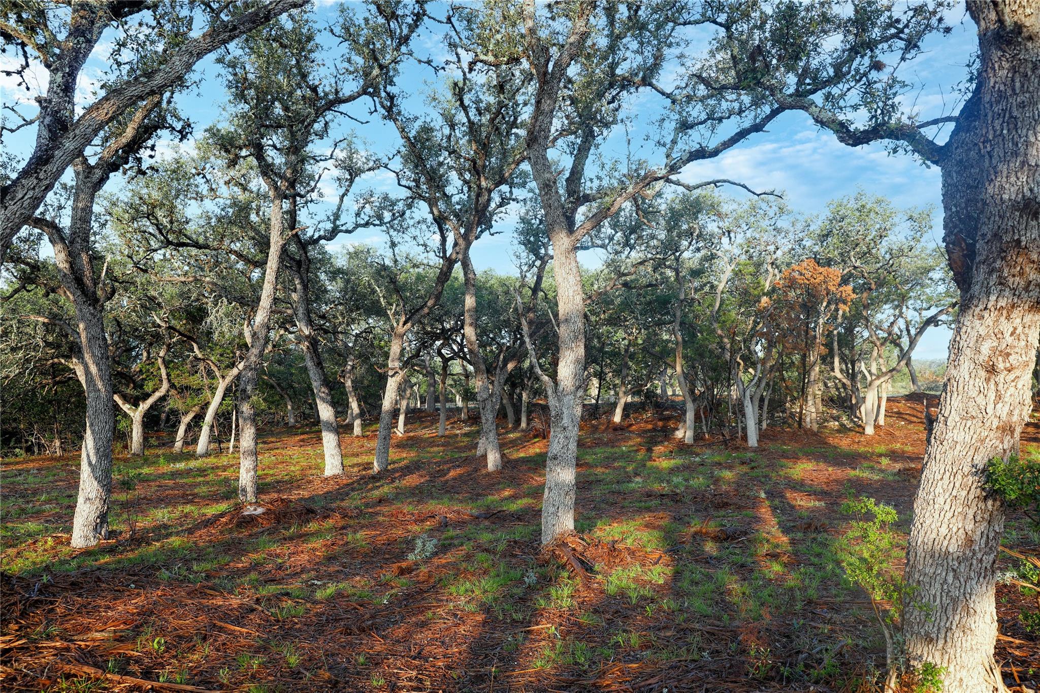 Image 6 of 40 For 000 Kyle Ranch Road