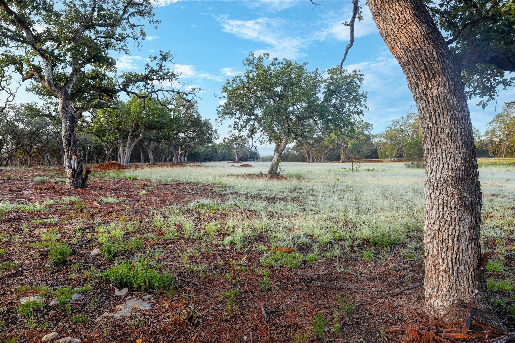 Image 7 of 40 For 000 Kyle Ranch Road