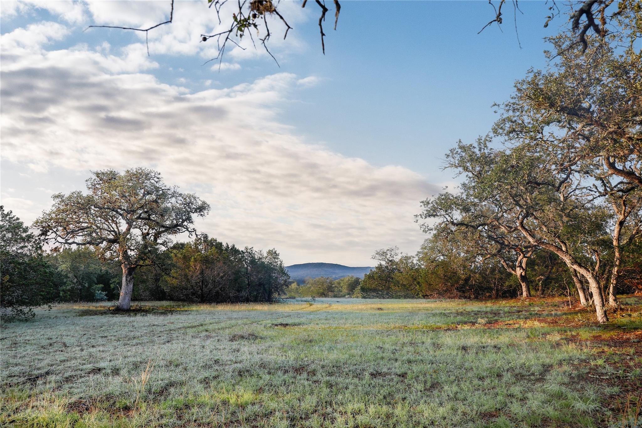 Image 8 of 40 For 000 Kyle Ranch Road