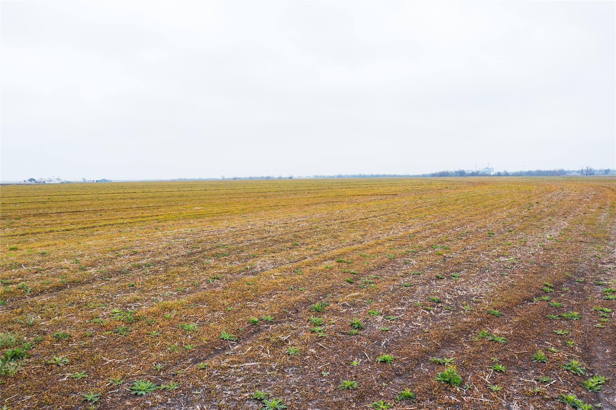 Image 14 of 33 For 000 Tbd Hwy 95 & Cr 325