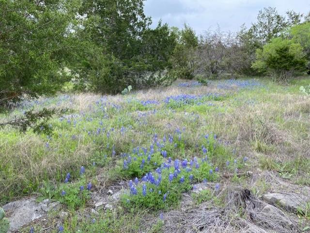 Image 8 of 31 For 1365 Pedernales Hills Rd