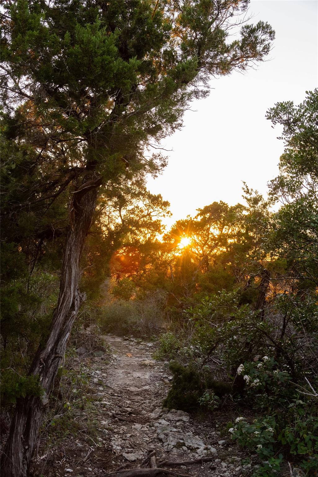 Image 12 of 36 For 6702-6712 N Capital Of Texas Highway N