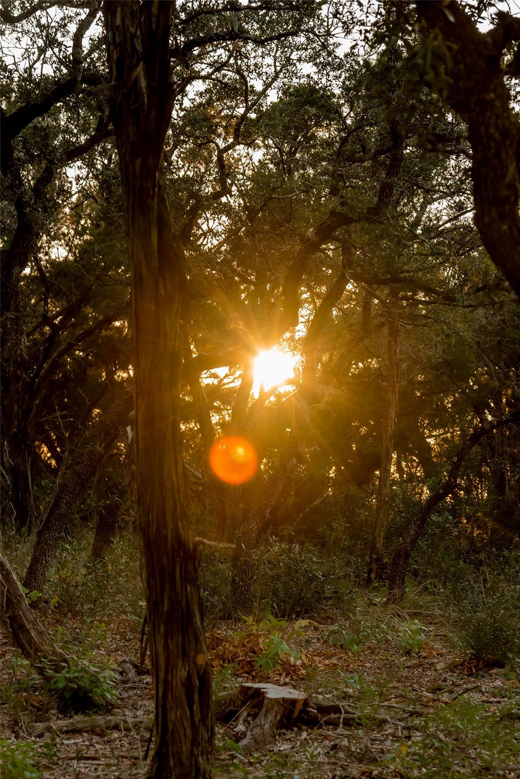 Image 6 of 36 For 6702-6712 N Capital Of Texas Highway N