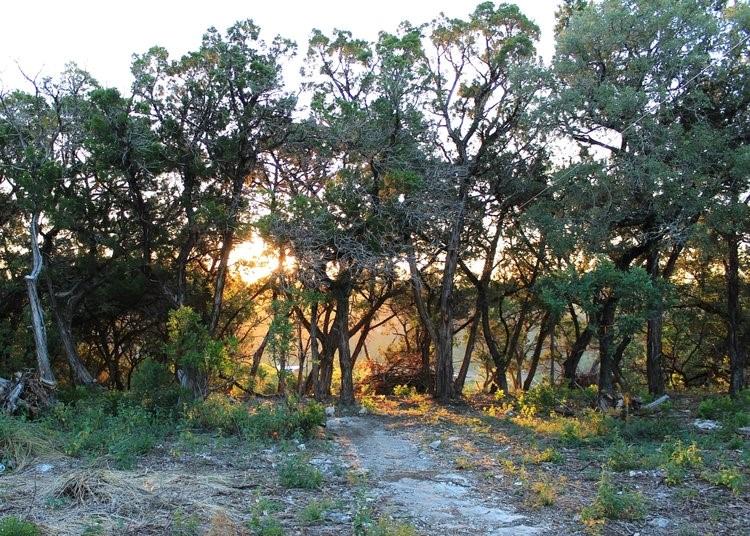 Image 8 of 36 For 6702-6712 N Capital Of Texas Highway N