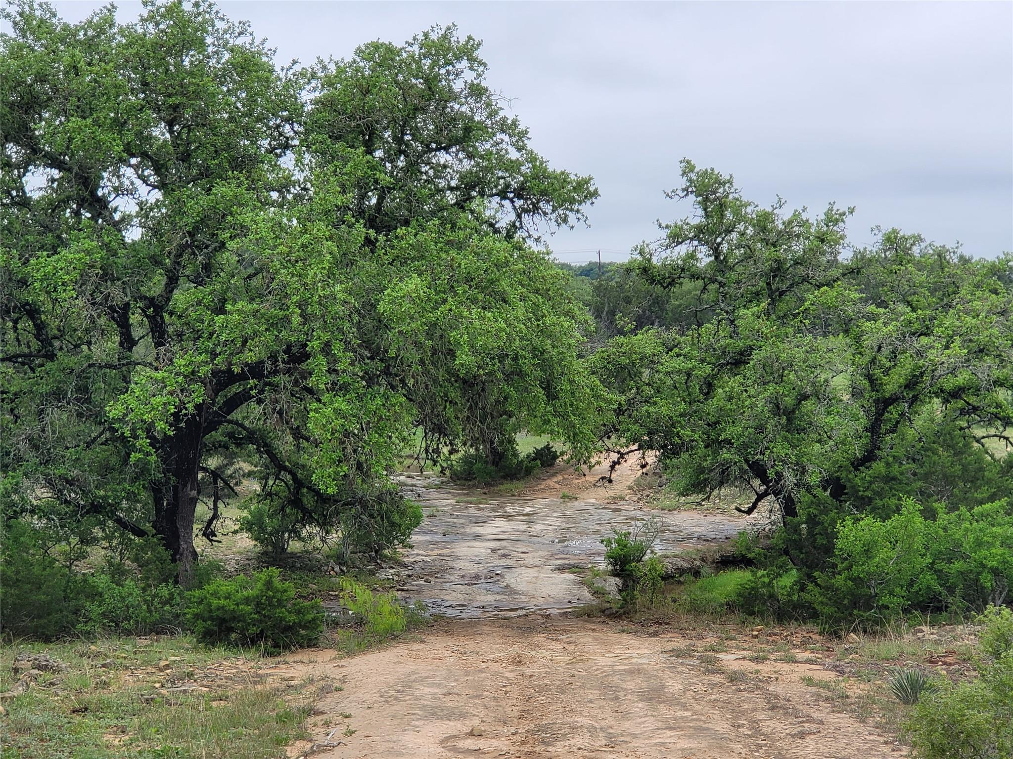 Image 5 of 31 For 9939 County Road 404