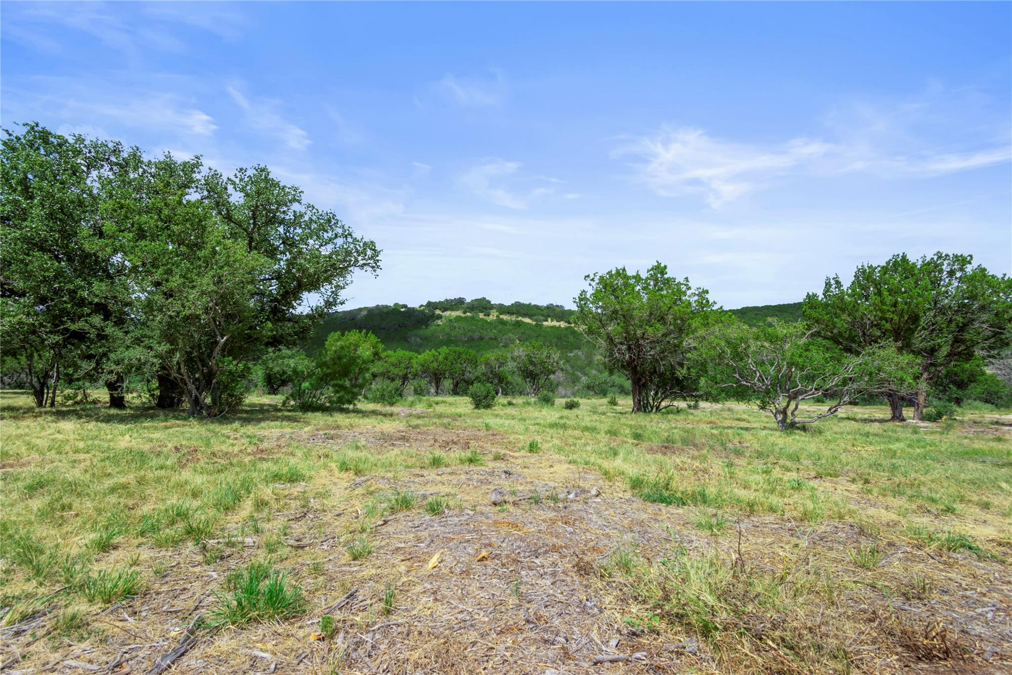 Image 16 of 27 For Wolf Creek Ranch Lot 1b1a Fm 2341 Rnch N