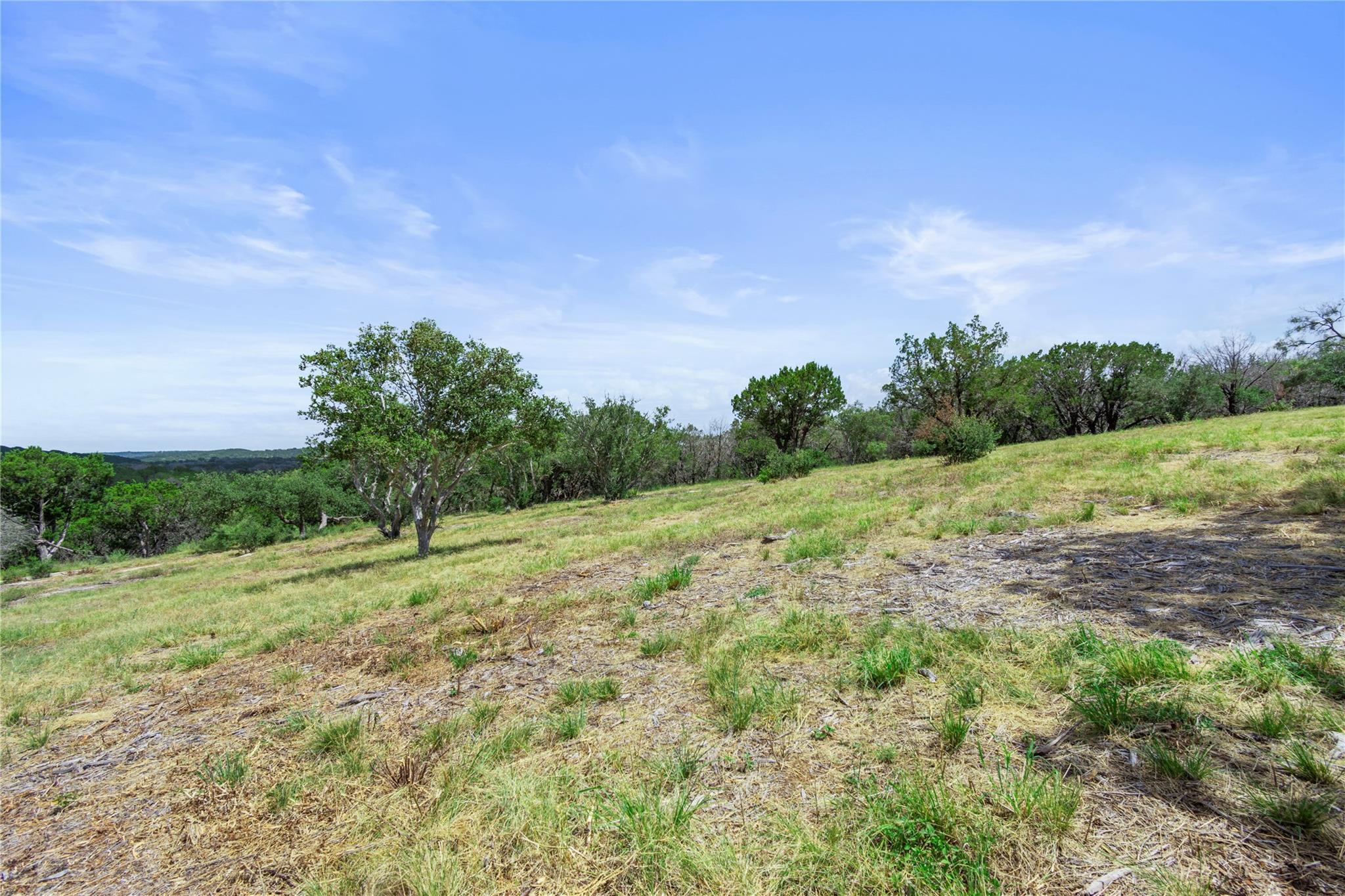 Image 26 of 27 For Wolf Creek Ranch Lot 1b1a Fm 2341 Rnch N