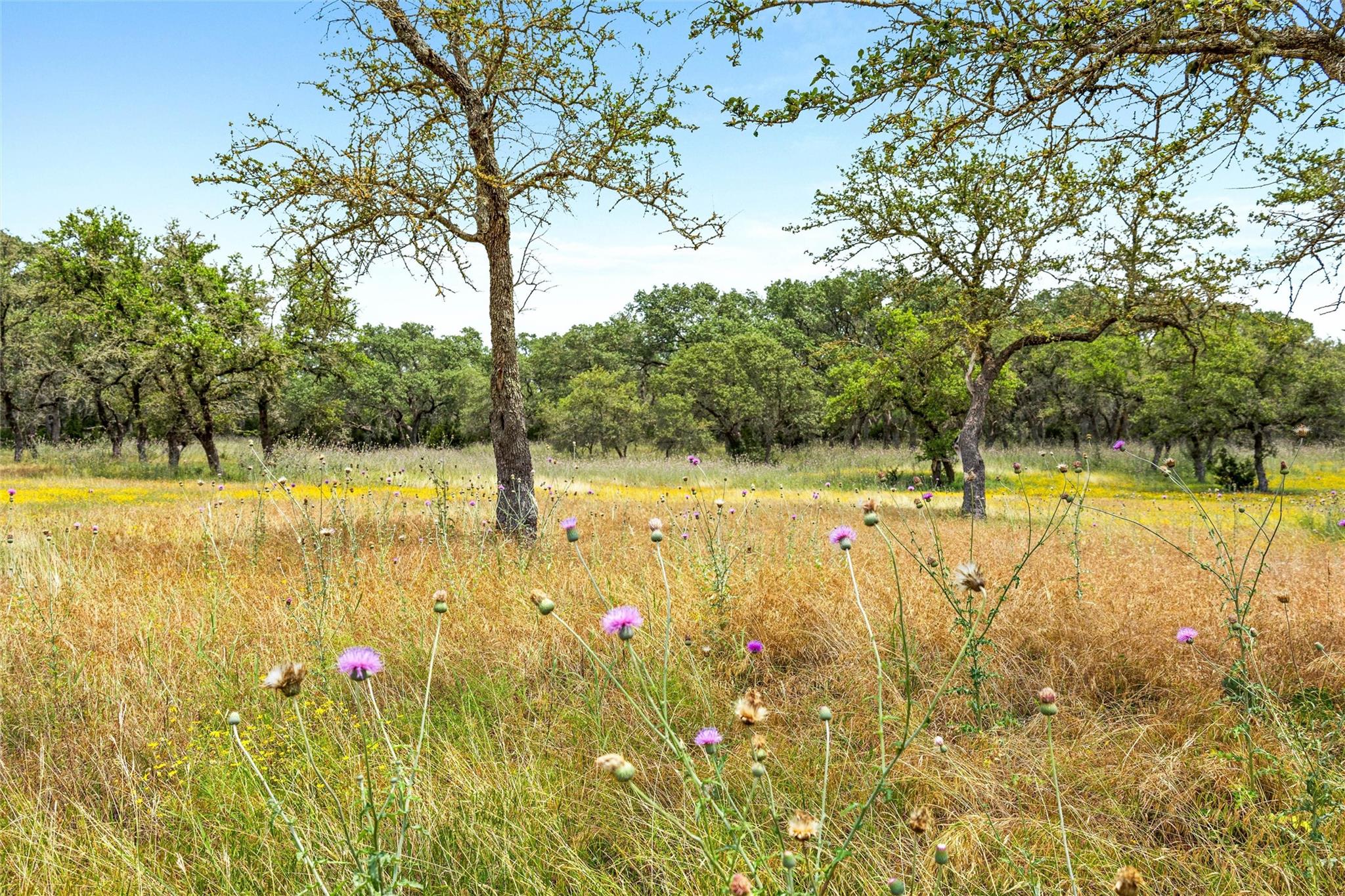 Image 27 of 40 For 426 Preiss Ranch Rd