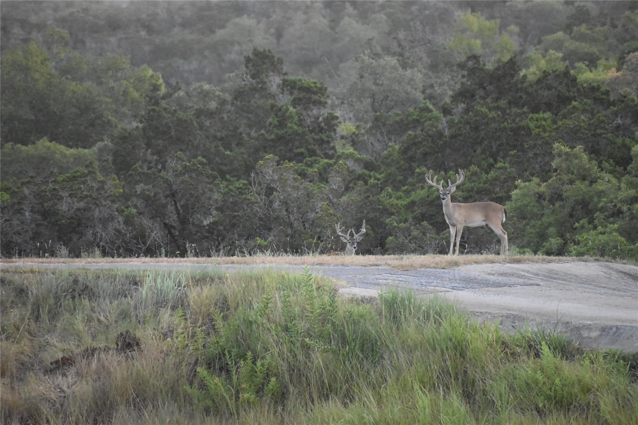 Image 33 of 40 For 3777 Middle Creek Rd