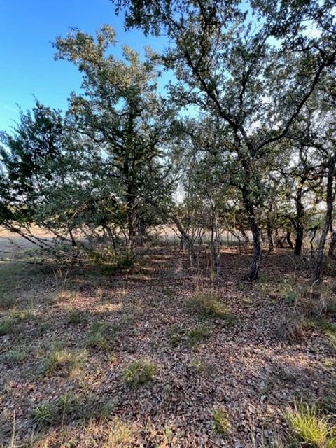 Details for 223 Peter Kleid Loop, Blanco, TX 78606