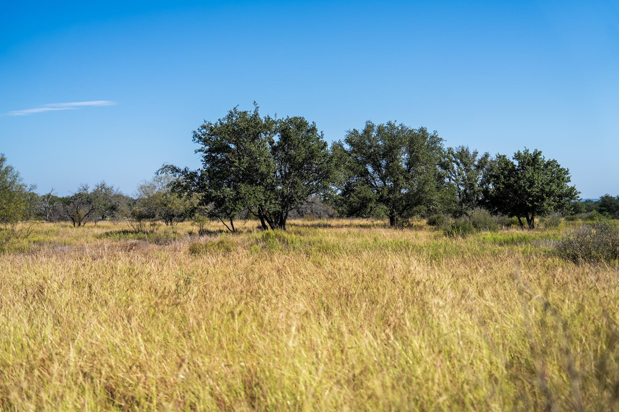 Image 24 of 31 For 928 Bendele Rd