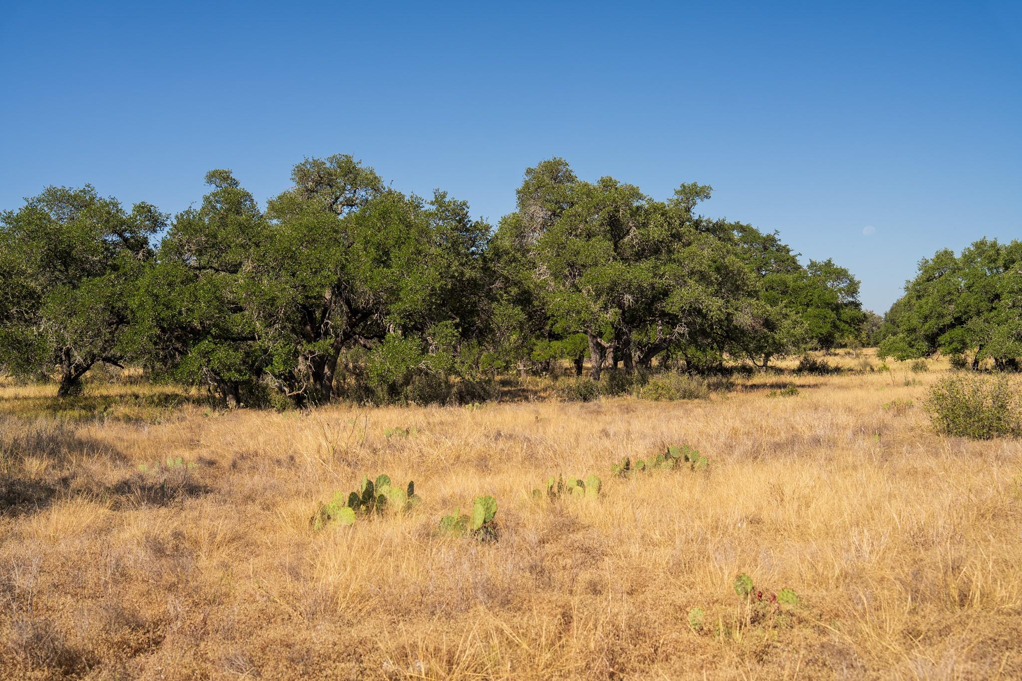 Image 29 of 31 For 928 Bendele Rd