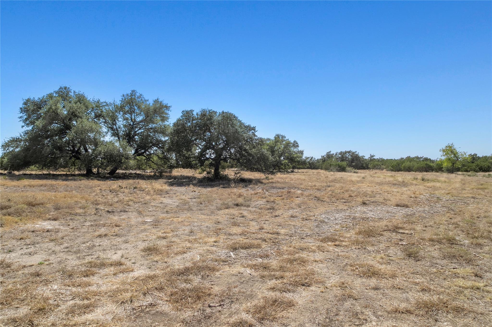 Details for 219 Canyon Rd, Johnson City, TX 78636