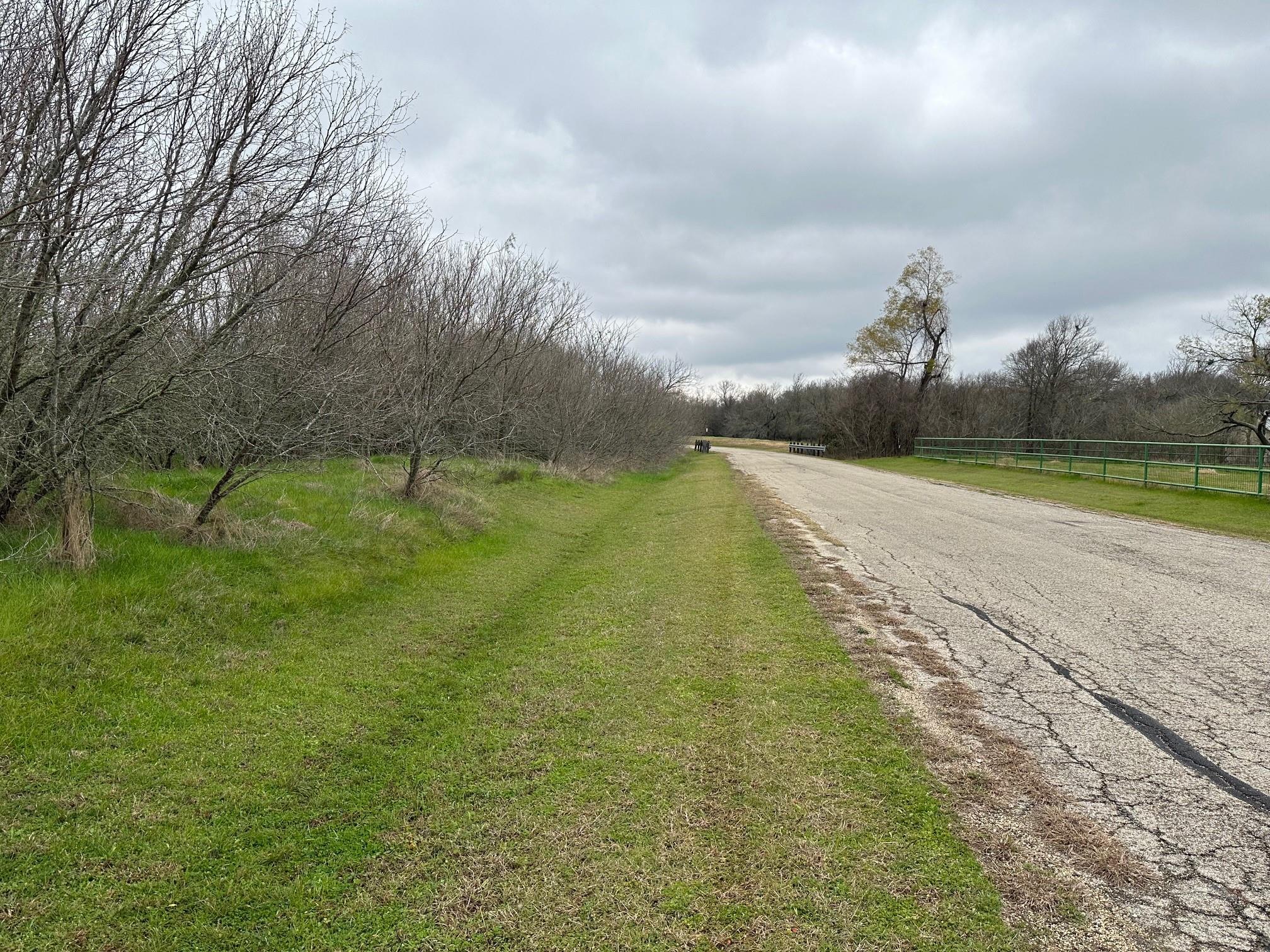 Listing Details for 129 Palo Duro Dr, Cedar Creek, TX 78612