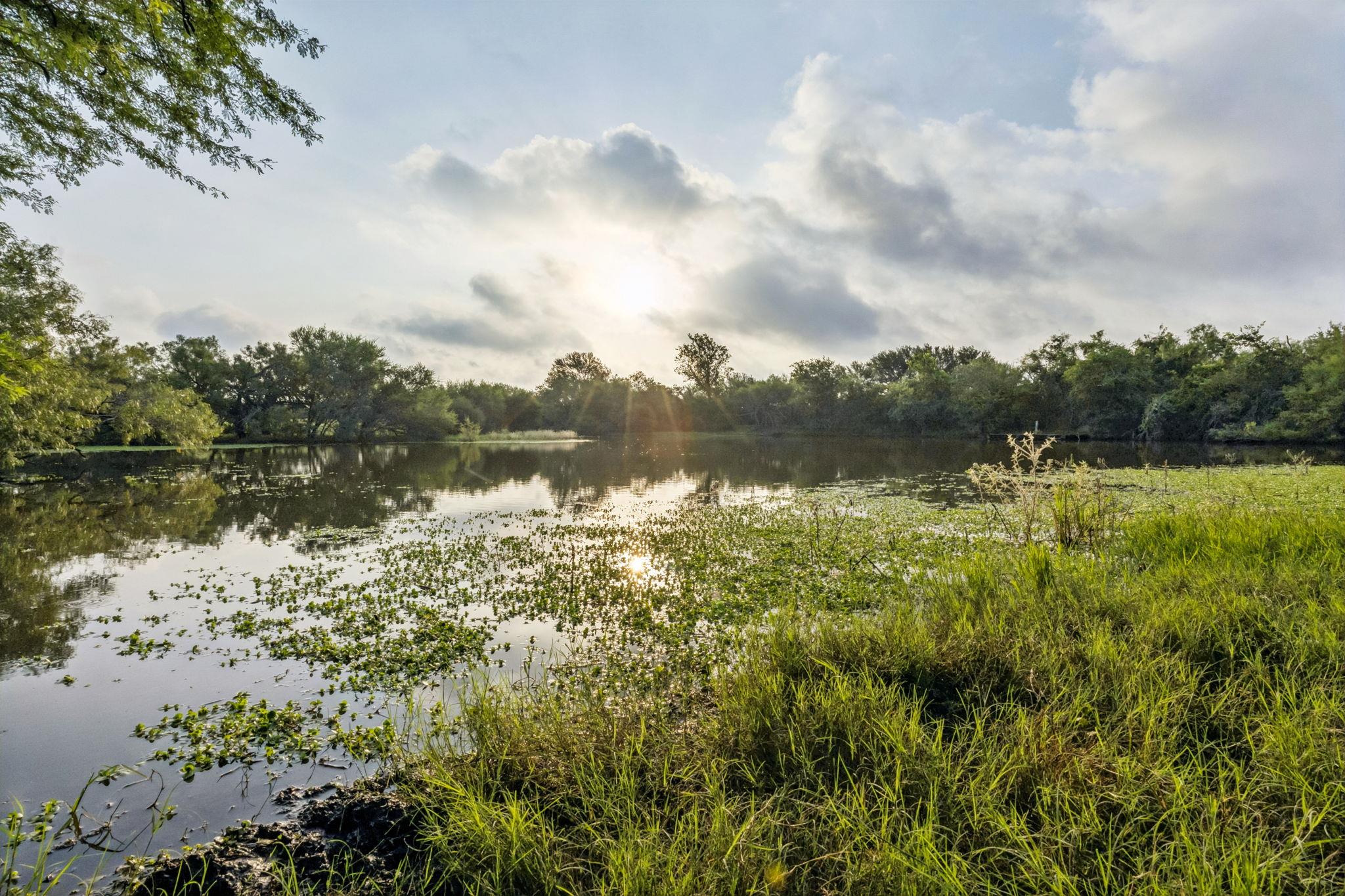 Image 16 of 23 For 9611 Wilke Rd