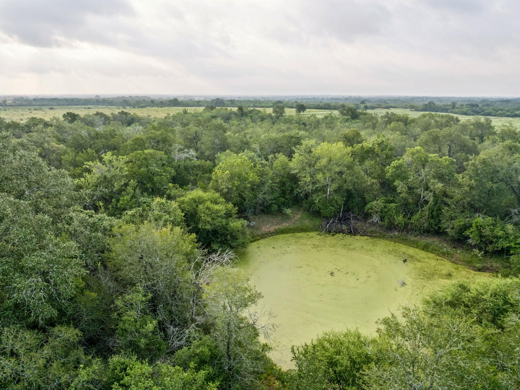 Image 17 of 23 For 9611 Wilke Rd