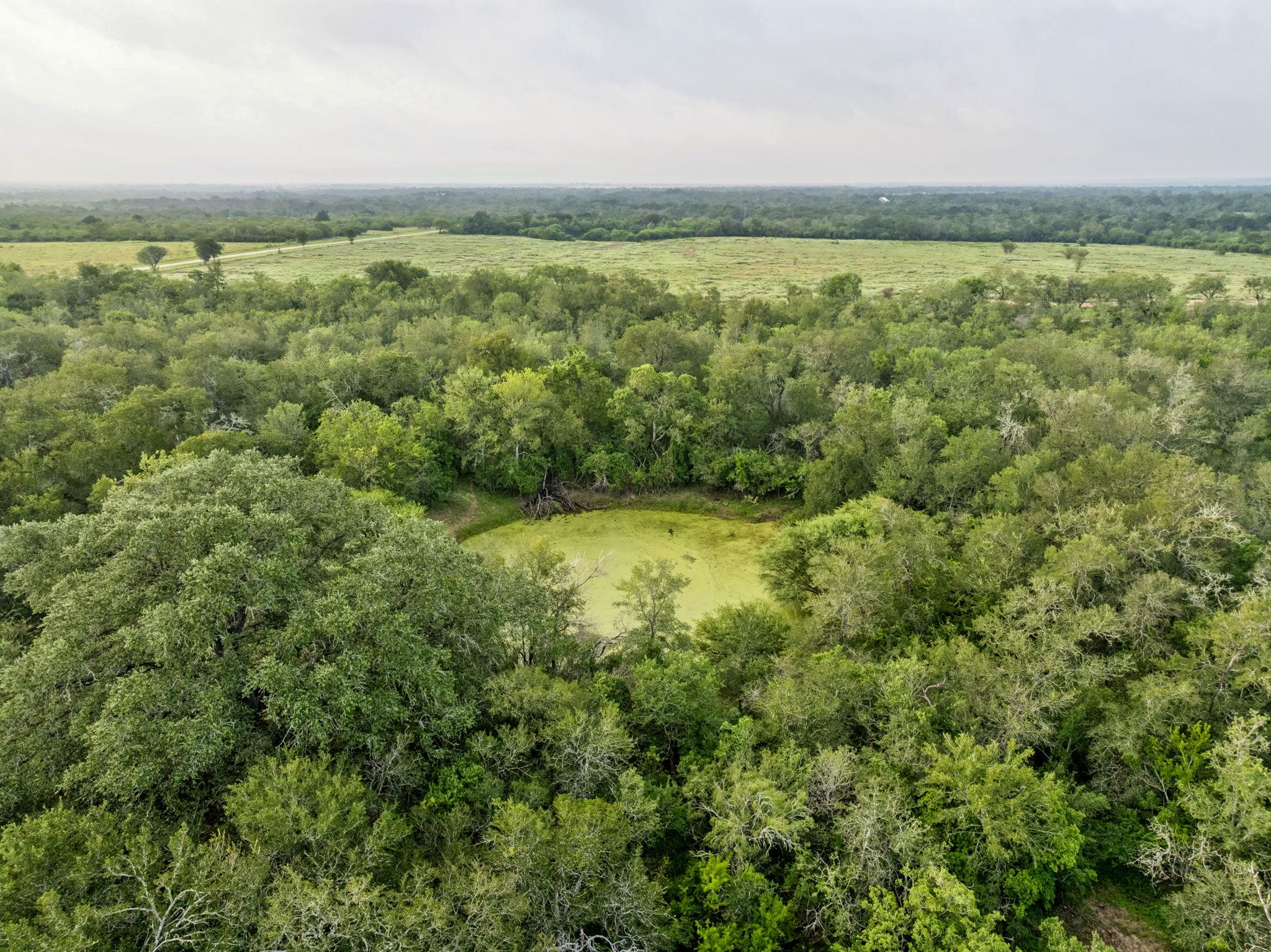 Image 22 of 23 For 9611 Wilke Rd