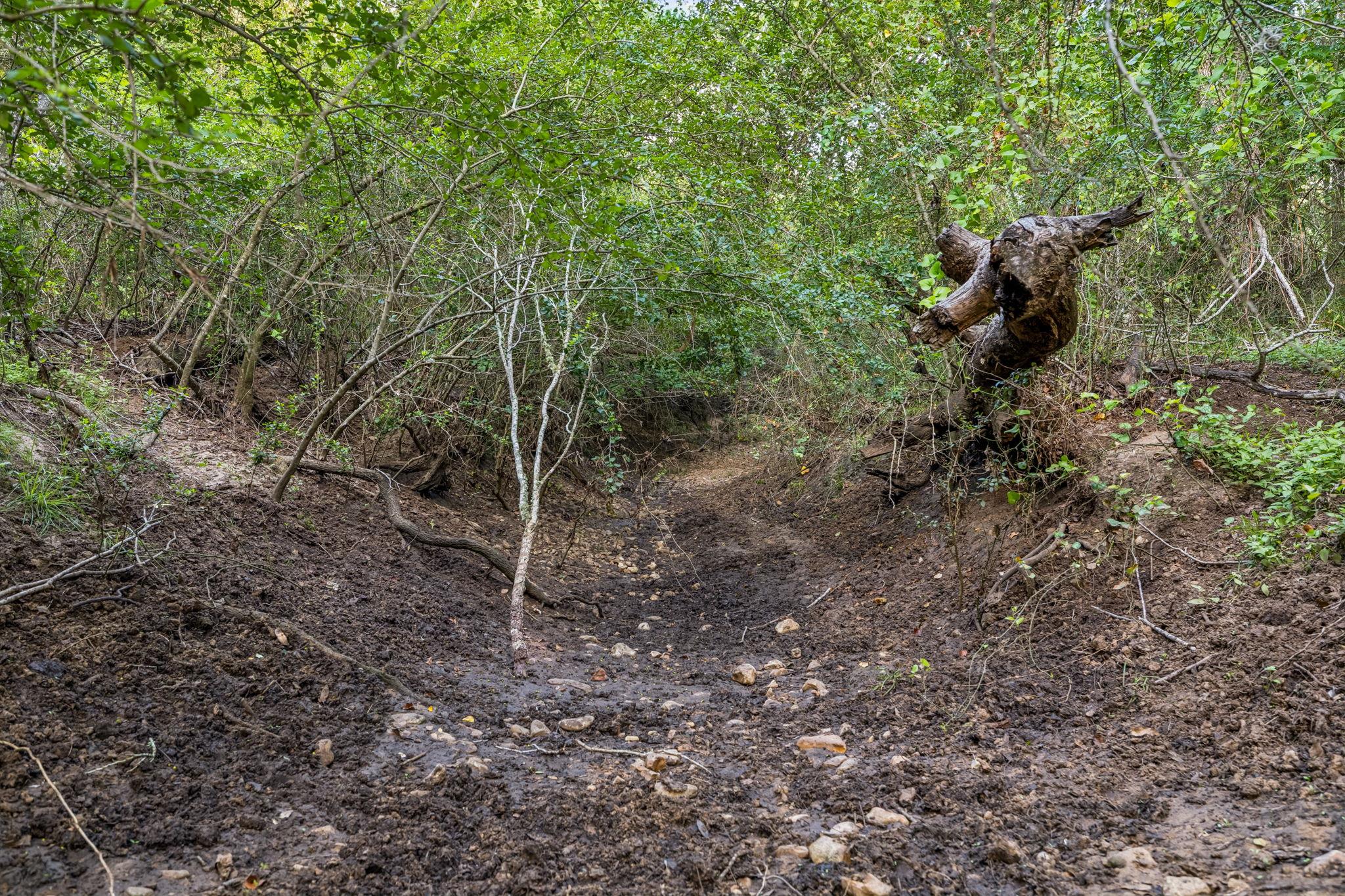 Image 23 of 23 For 9611 Wilke Rd