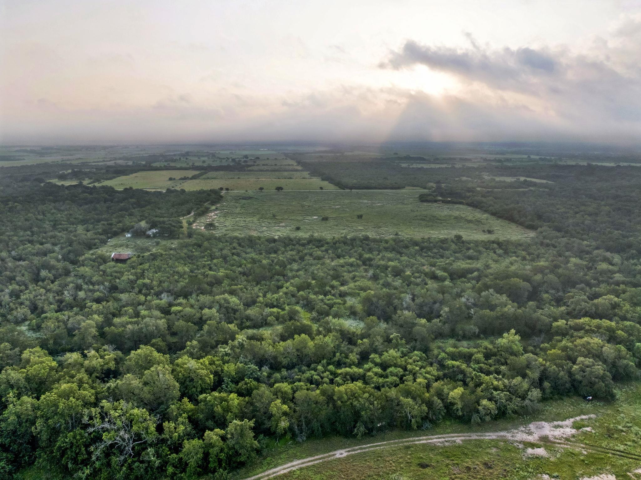 Image 4 of 23 For 9611 Wilke Rd