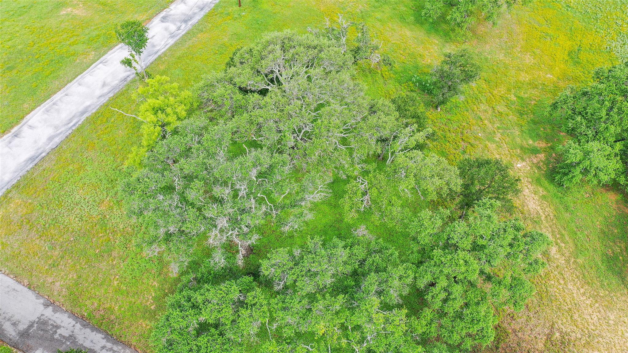 Image 9 of 23 For 18617 Highway 29