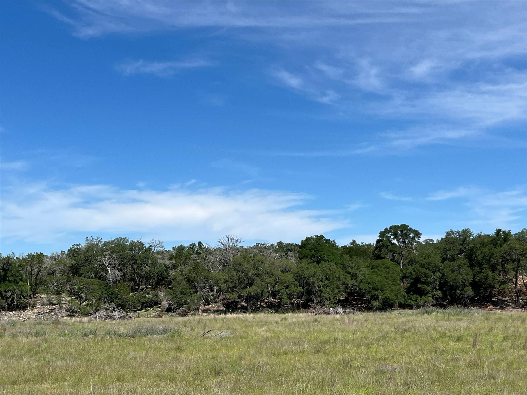 Details for Tbd Narrows Rd, Blanco, TX 78606