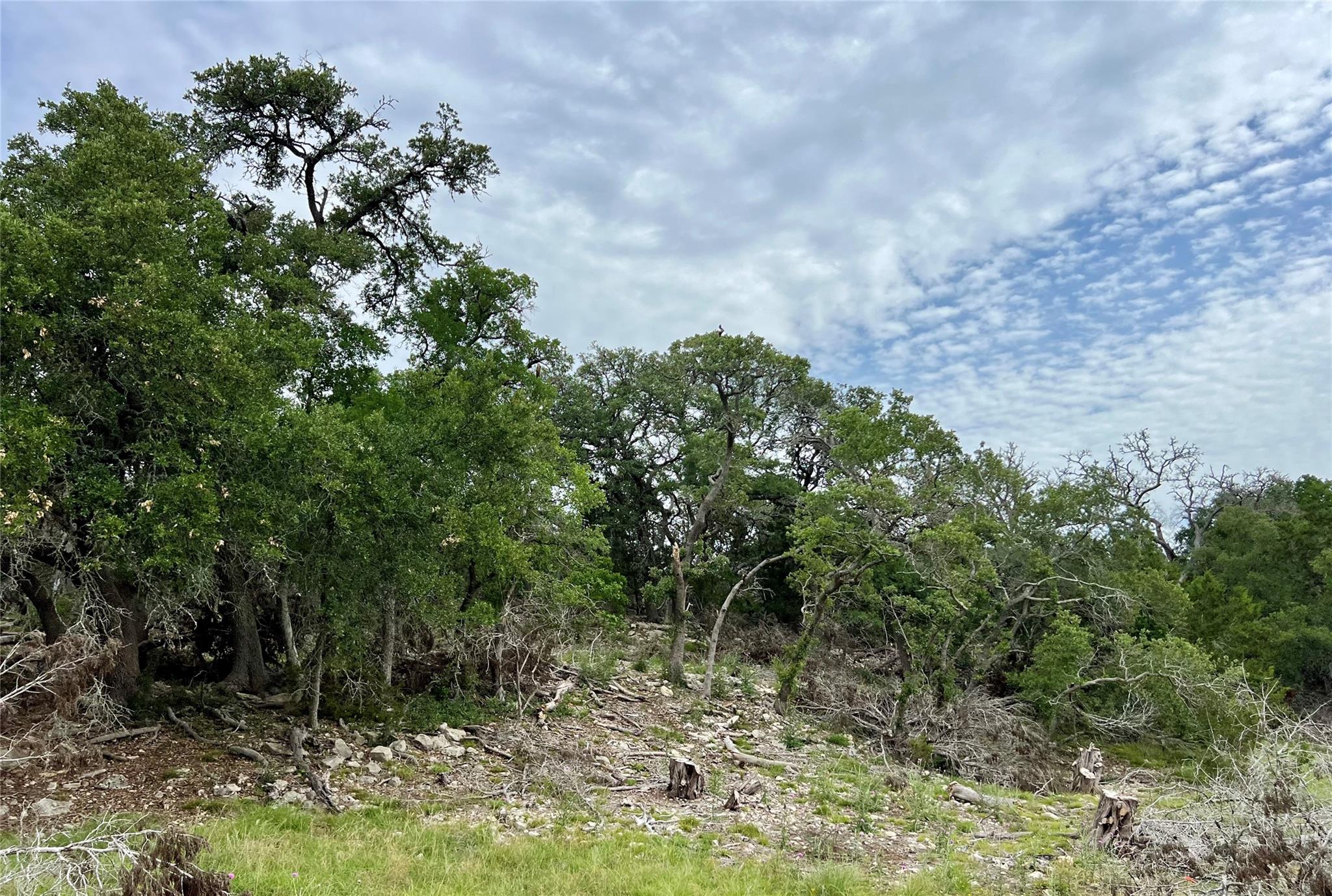 Image 3 of 10 For Tbd Narrows Rd