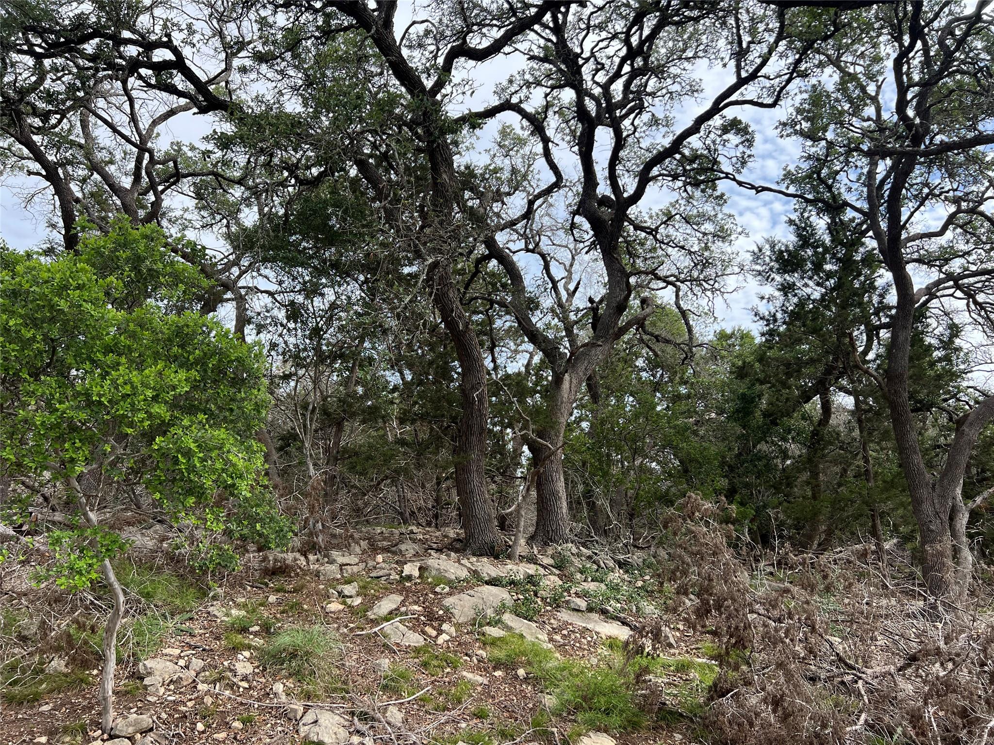 Image 5 of 10 For Tbd Narrows Rd