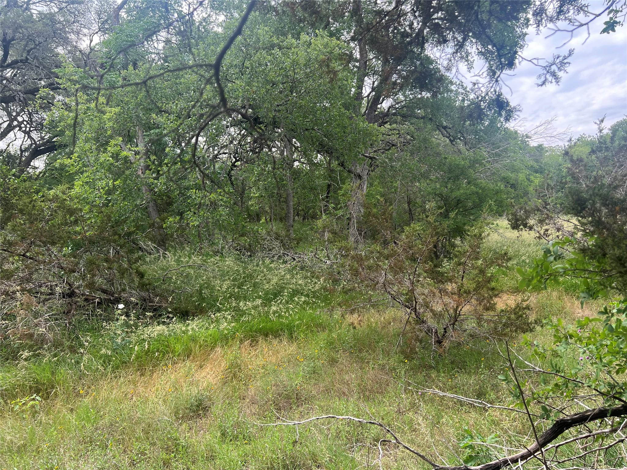 Image 8 of 10 For Tbd Narrows Rd