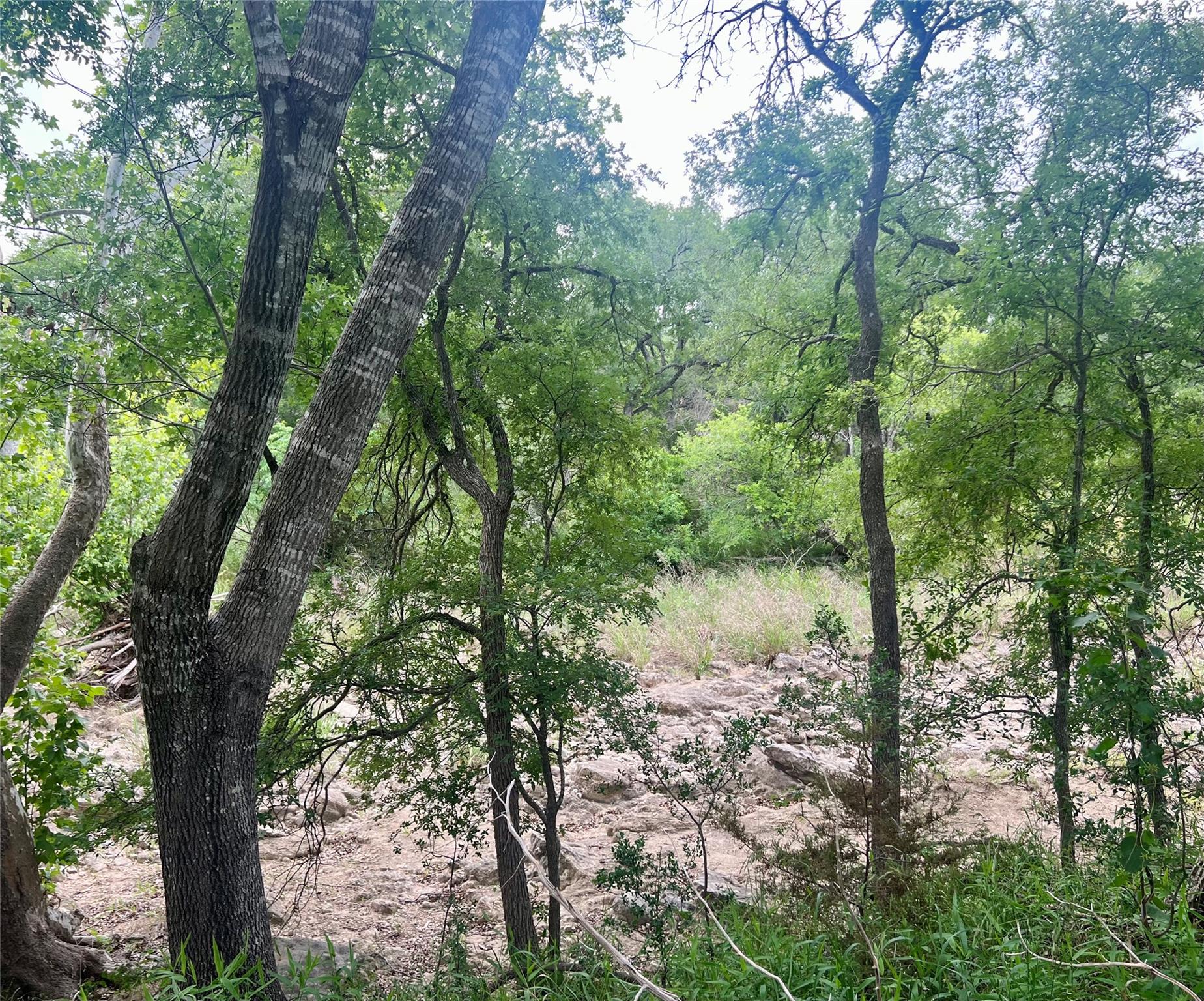 Image 9 of 10 For Tbd Narrows Rd
