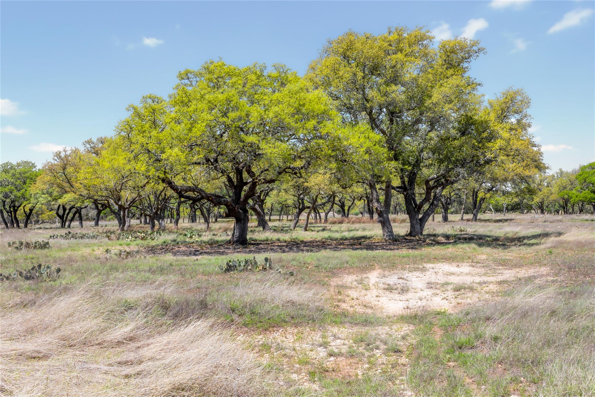 Image 29 of 30 For 9695 W Us 290 Highway