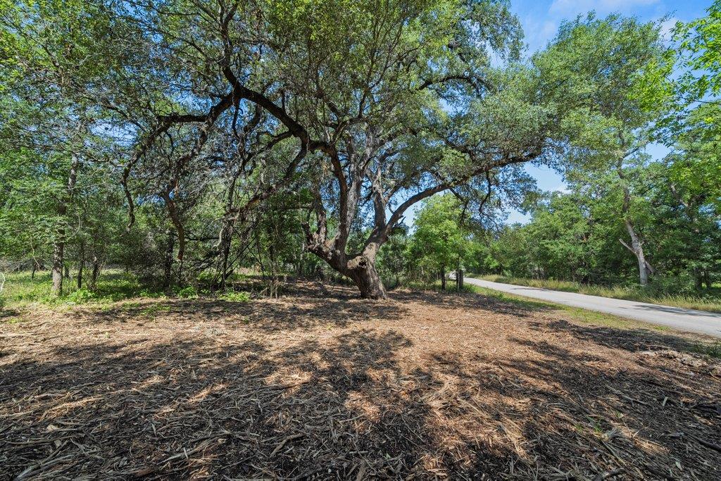 Details for 000 16 Caney Creek Rd, New Braunfels, TX 78130