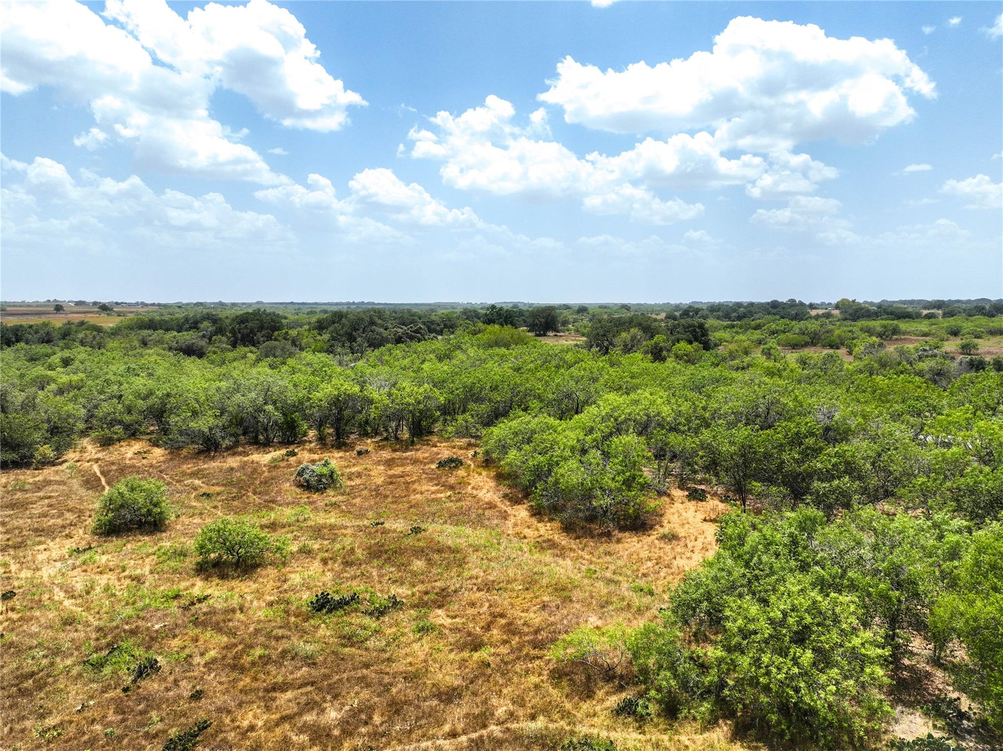 Image 10 of 10 For Lot. 16 Cr 124 Floresville