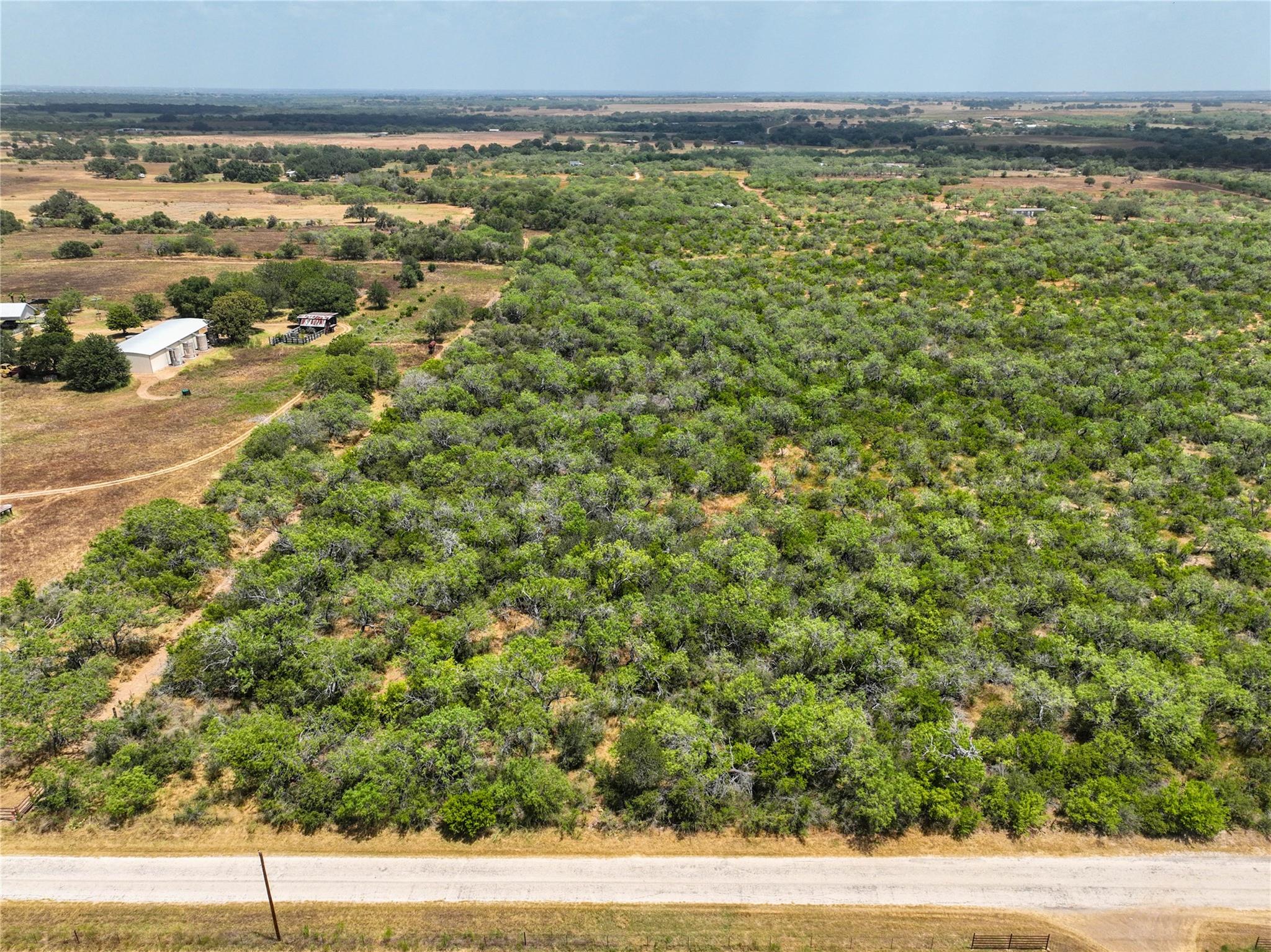 Image 3 of 10 For Lot. 16 Cr 124 Floresville