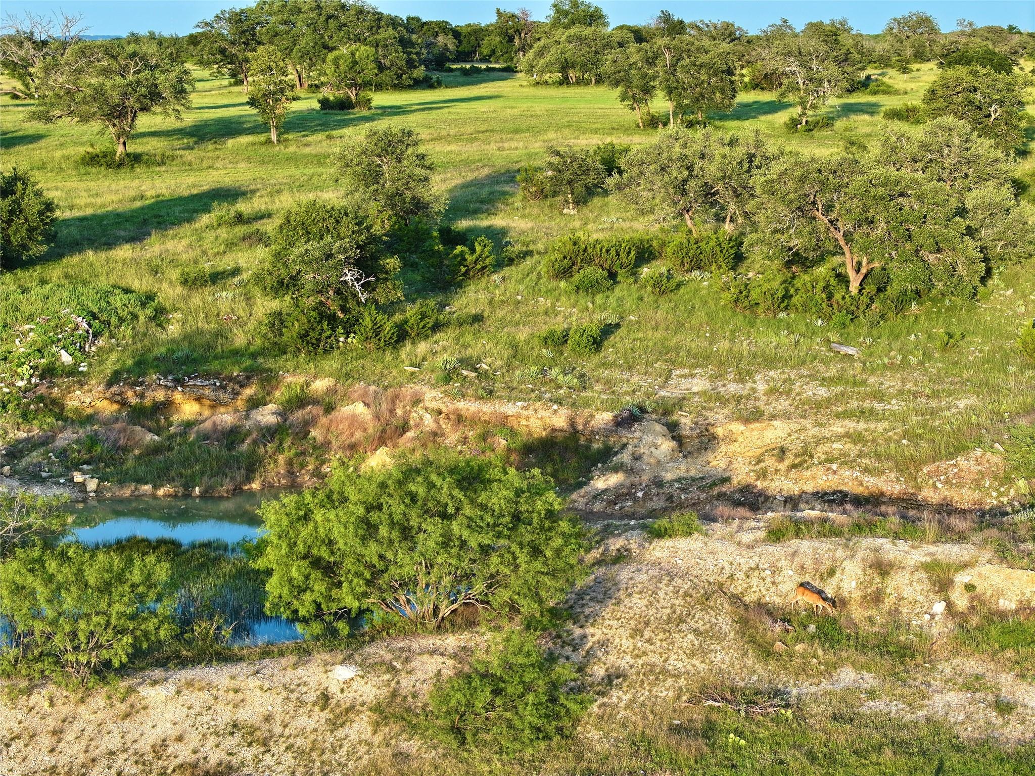 Details for Lot 3 Fm 2657, Briggs, TX 78608