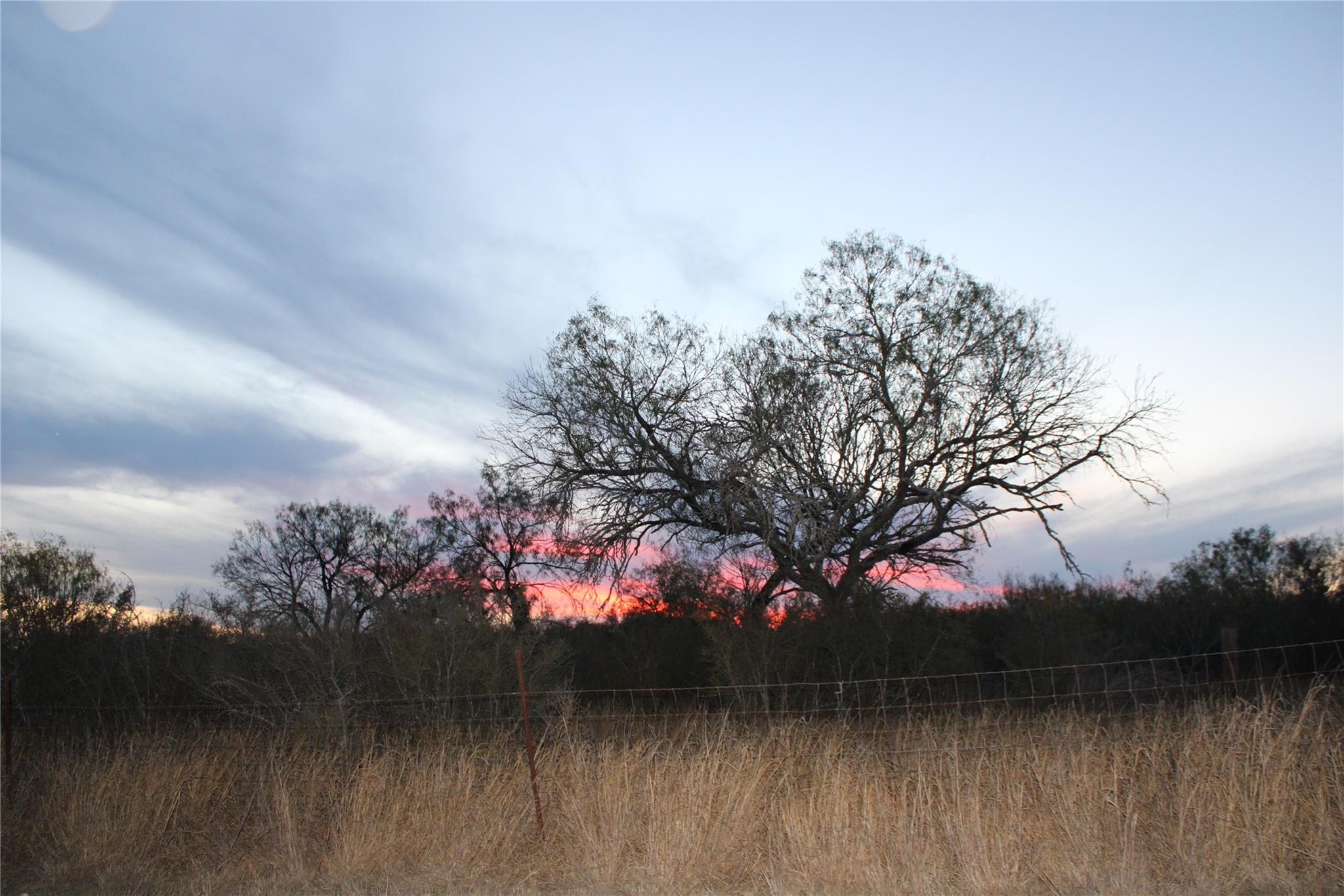 Details for 0000 Cr 339  , Jourdanton, TX 78026