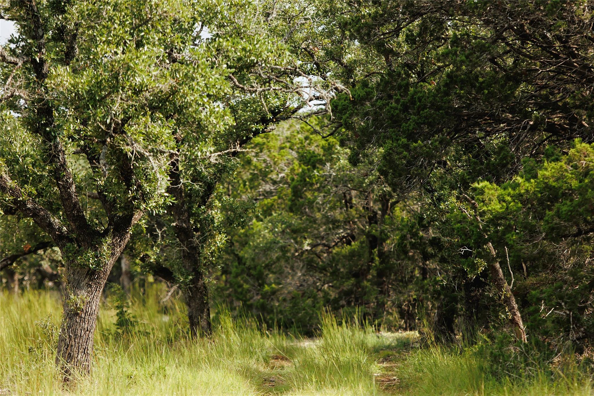 Image 20 of 36 For Lot 12 Ridgeway Trl