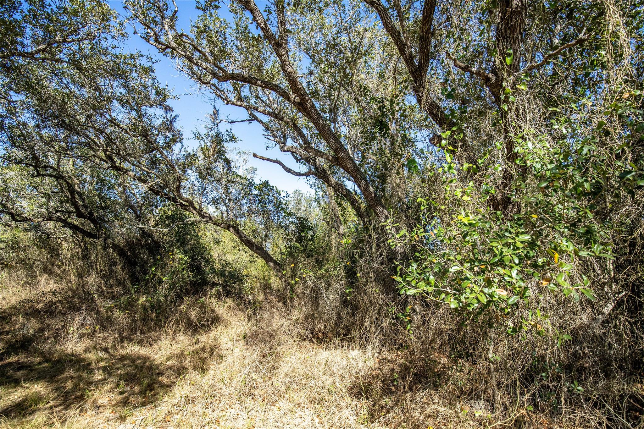 Image 22 of 40 For 6498 Hwy 35