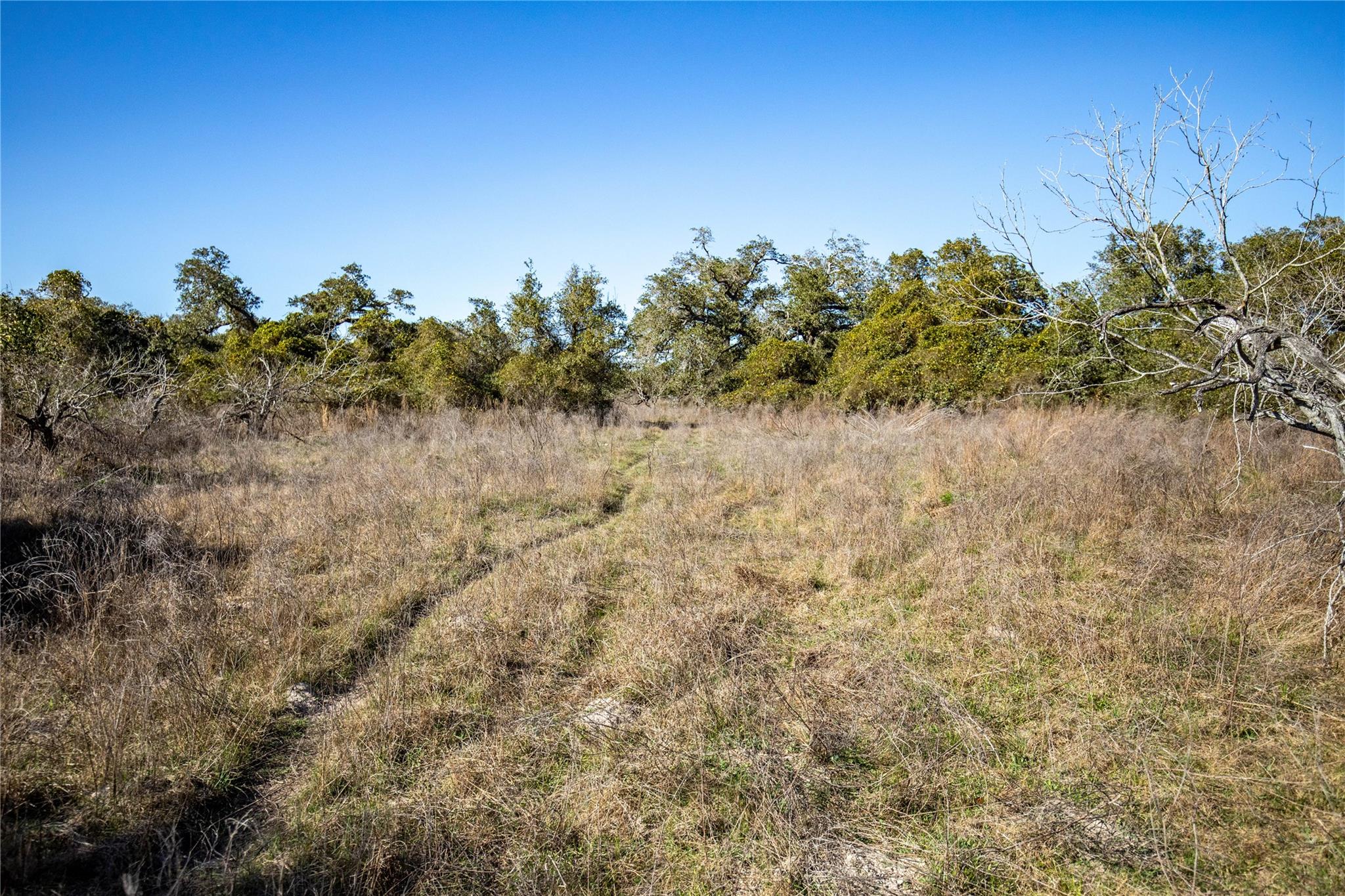 Image 23 of 40 For 6498 Hwy 35