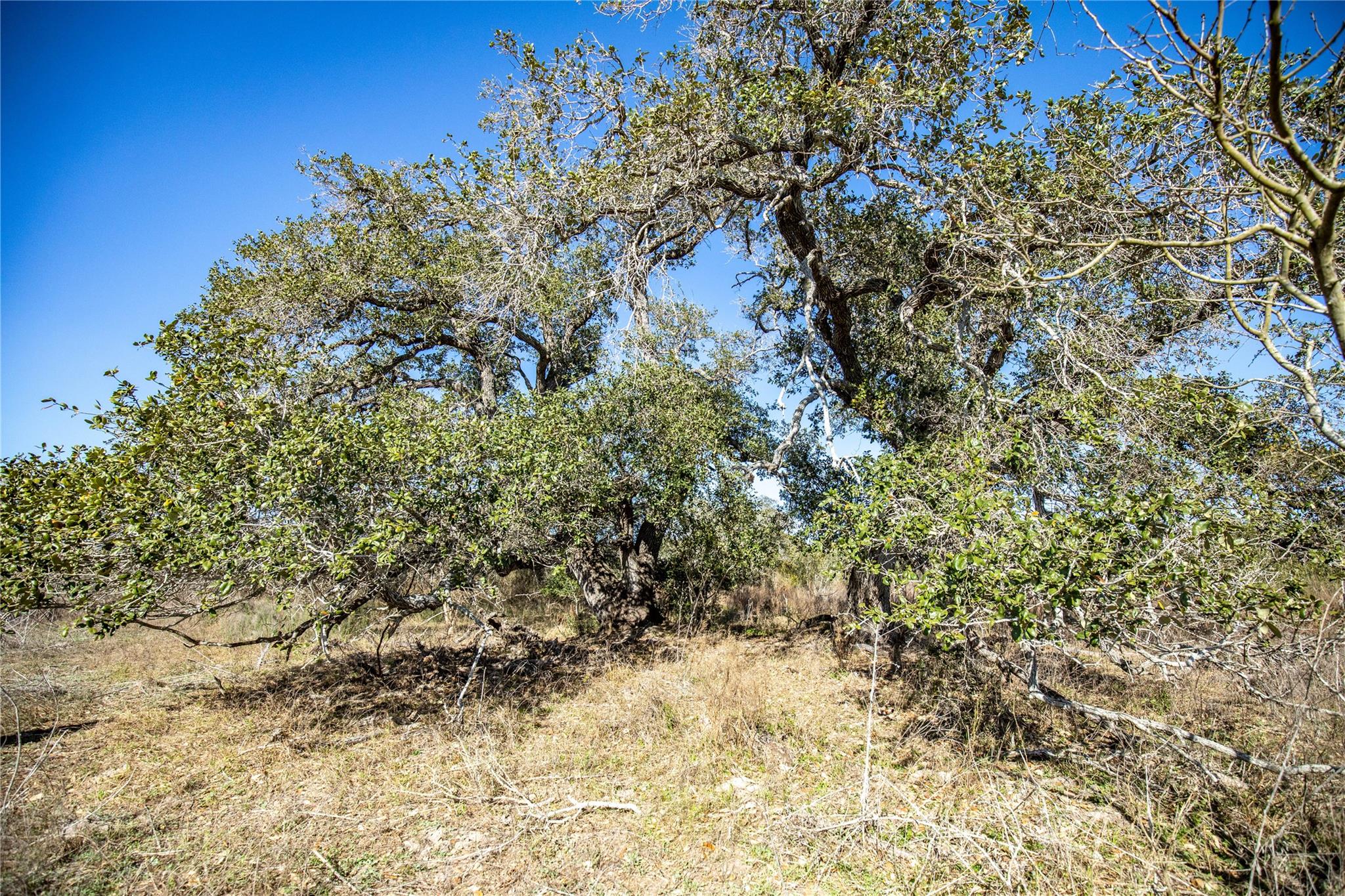 Image 26 of 40 For 6498 Hwy 35