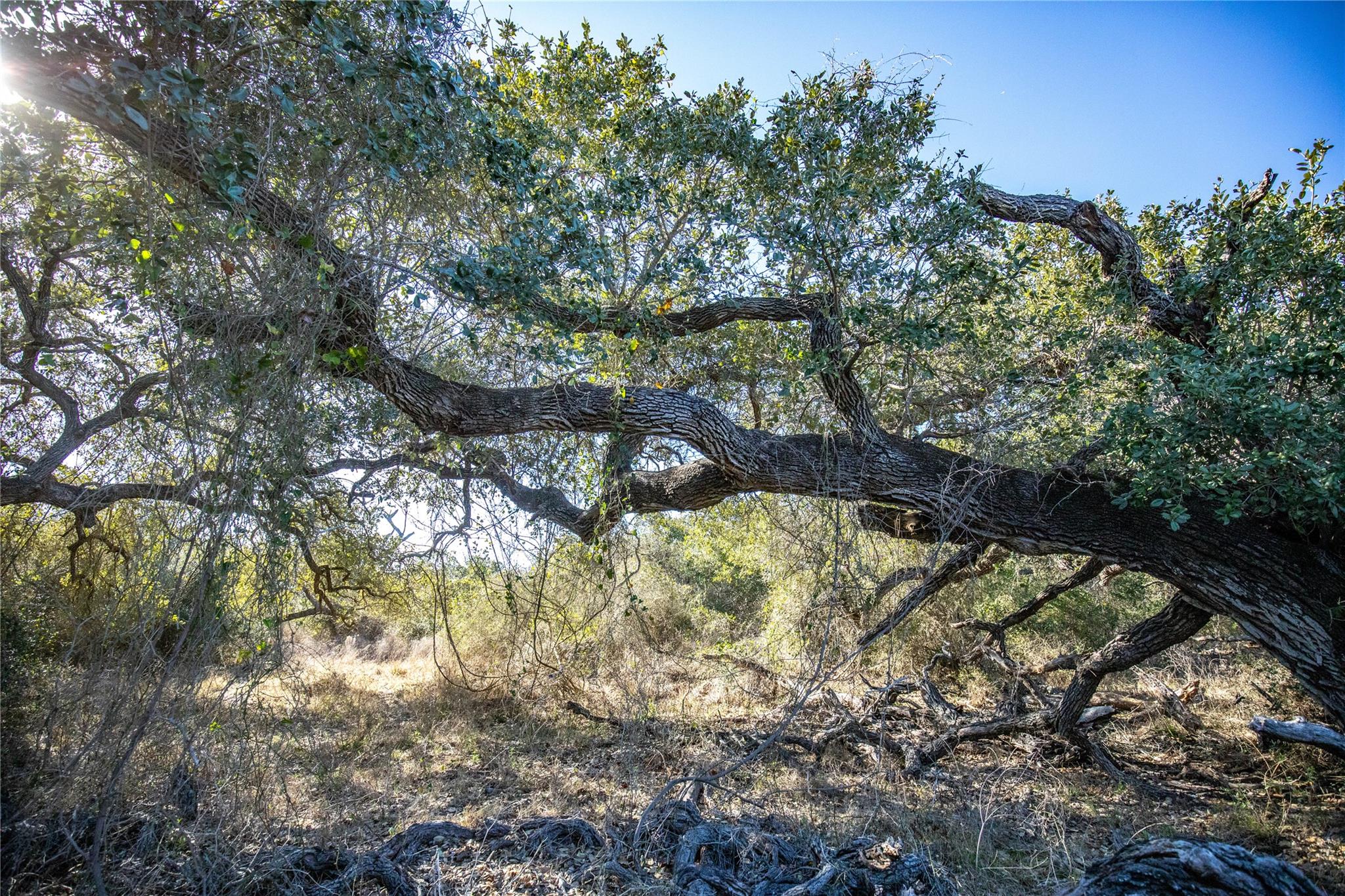 Image 27 of 40 For 6498 Hwy 35