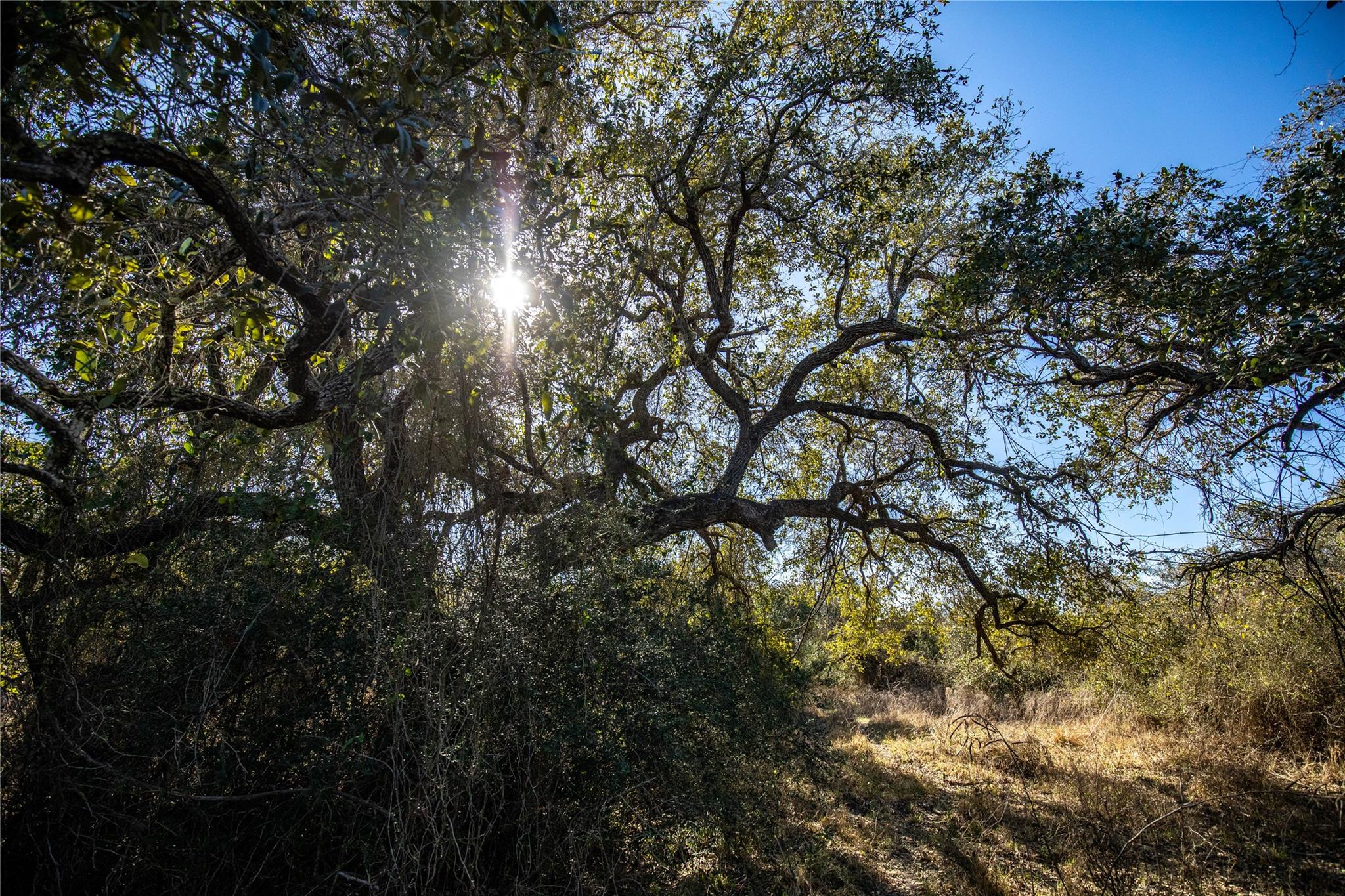 Image 28 of 40 For 6498 Hwy 35