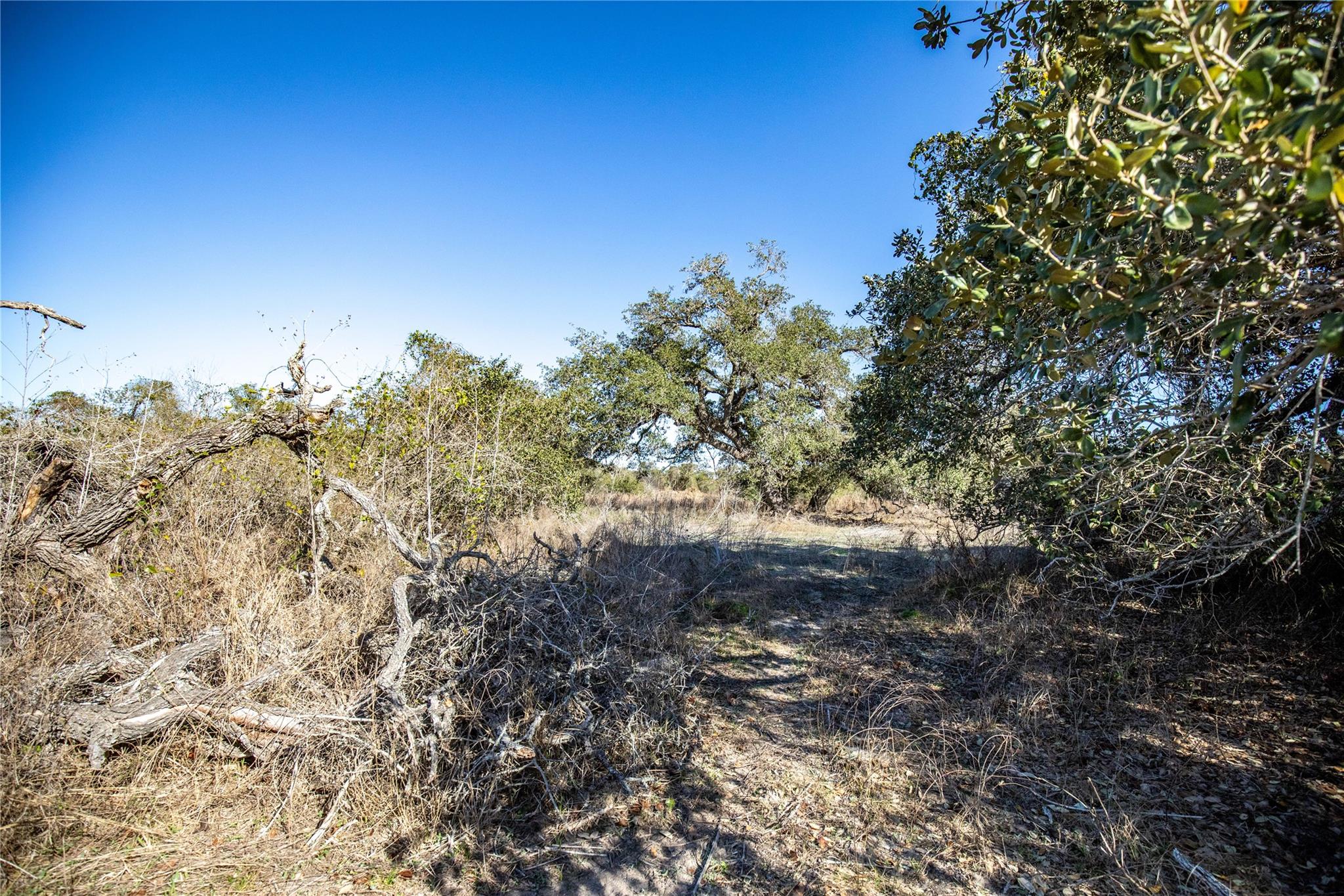 Image 29 of 40 For 6498 Hwy 35