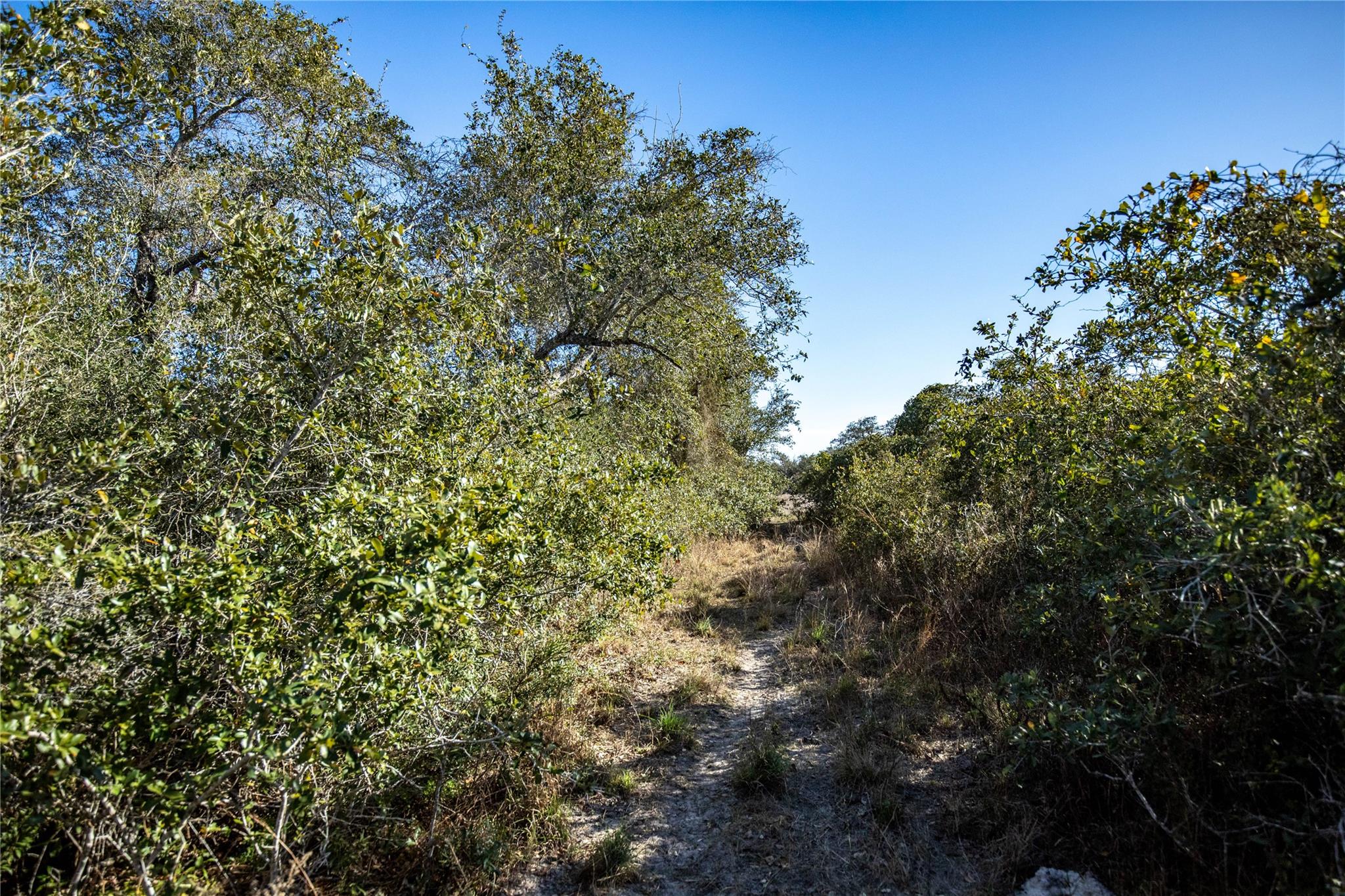 Image 31 of 40 For 6498 Hwy 35