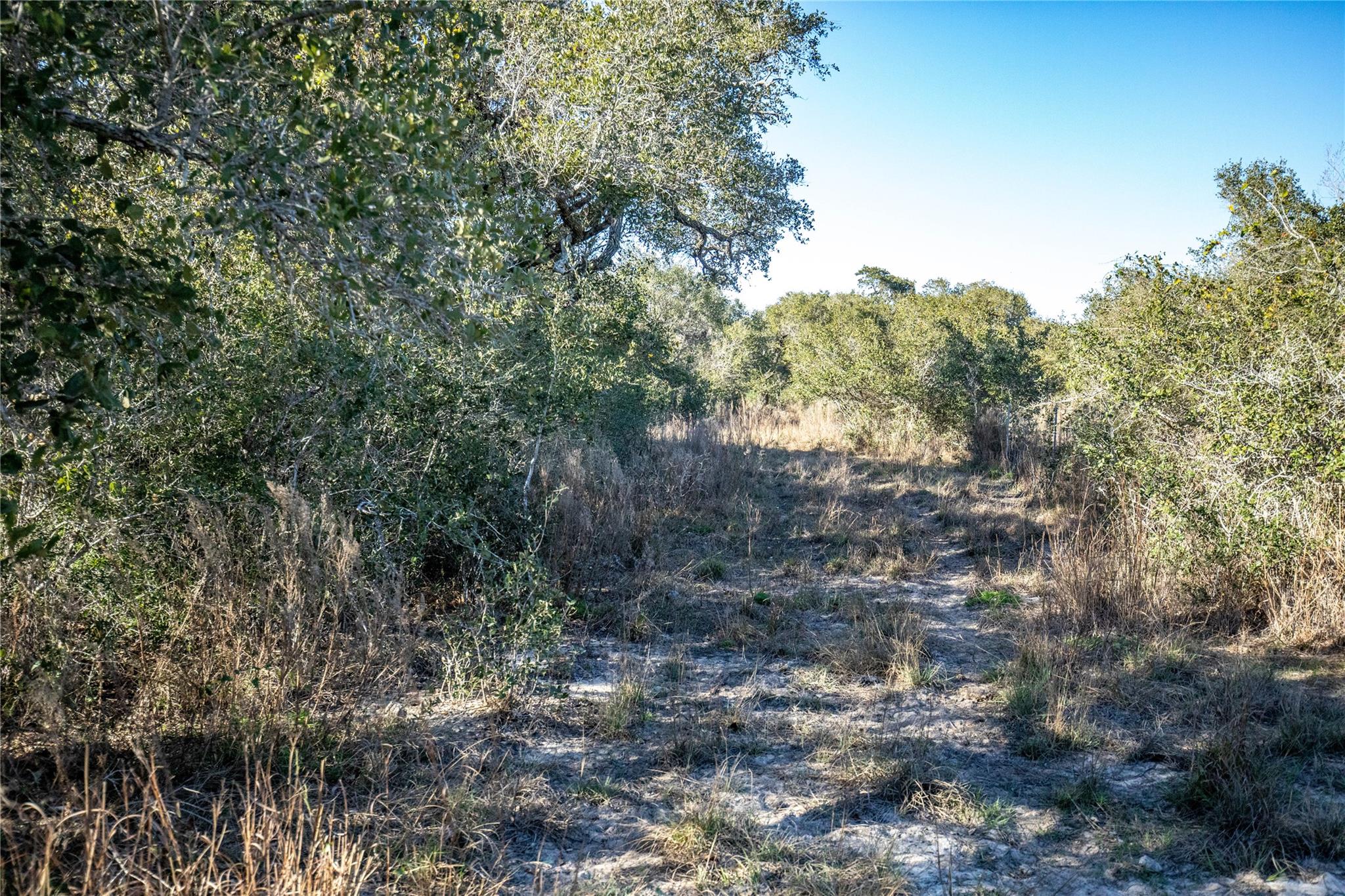 Image 32 of 40 For 6498 Hwy 35