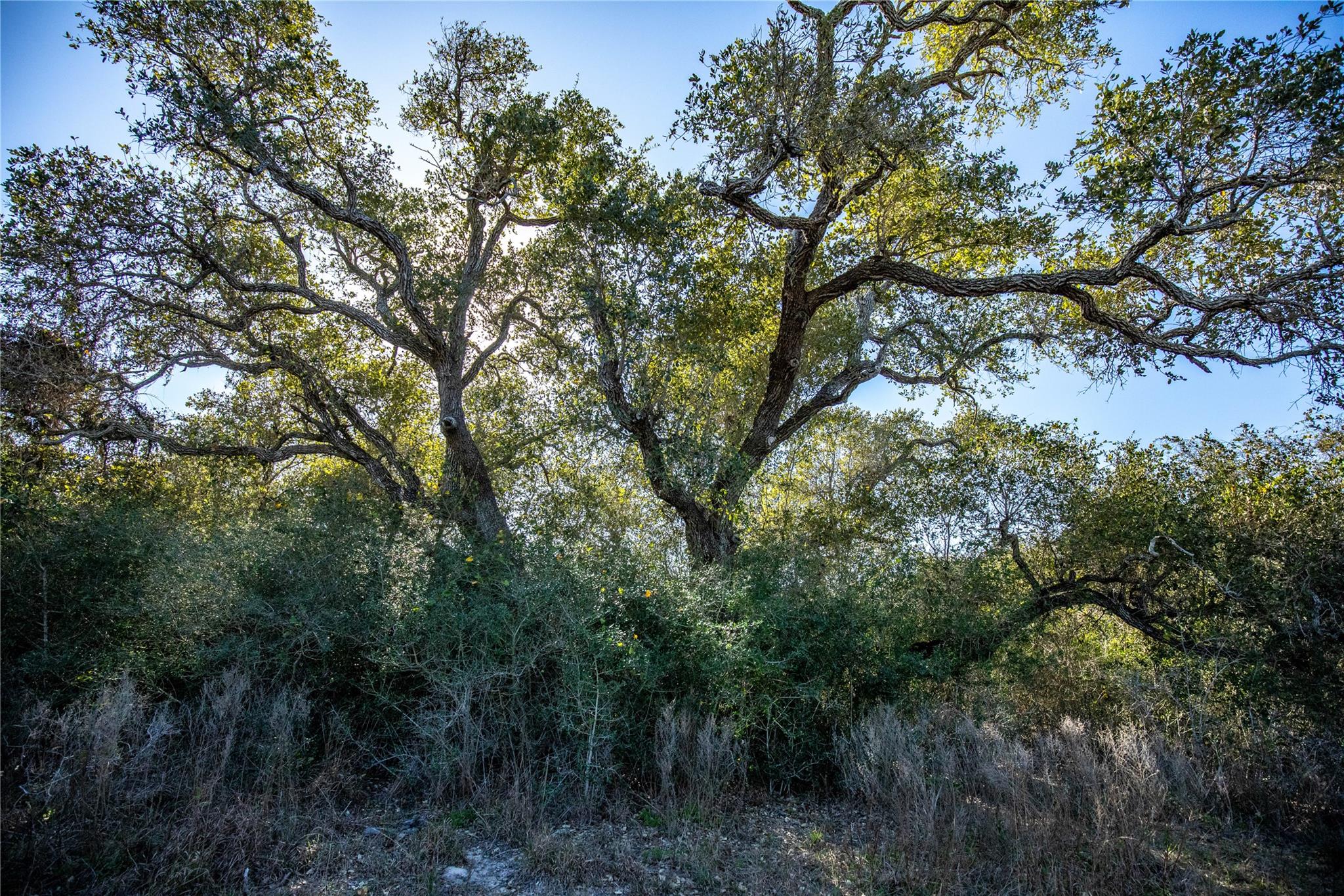 Image 34 of 40 For 6498 Hwy 35