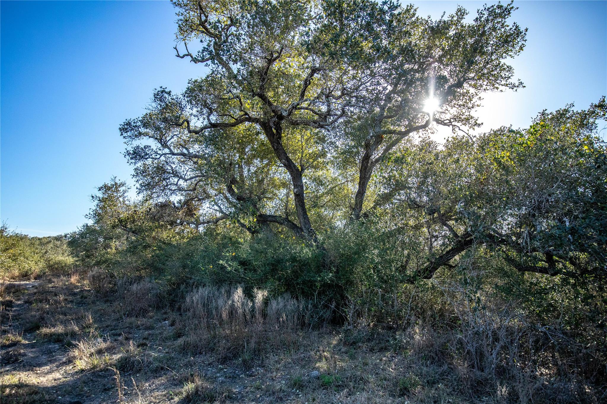 Image 35 of 40 For 6498 Hwy 35