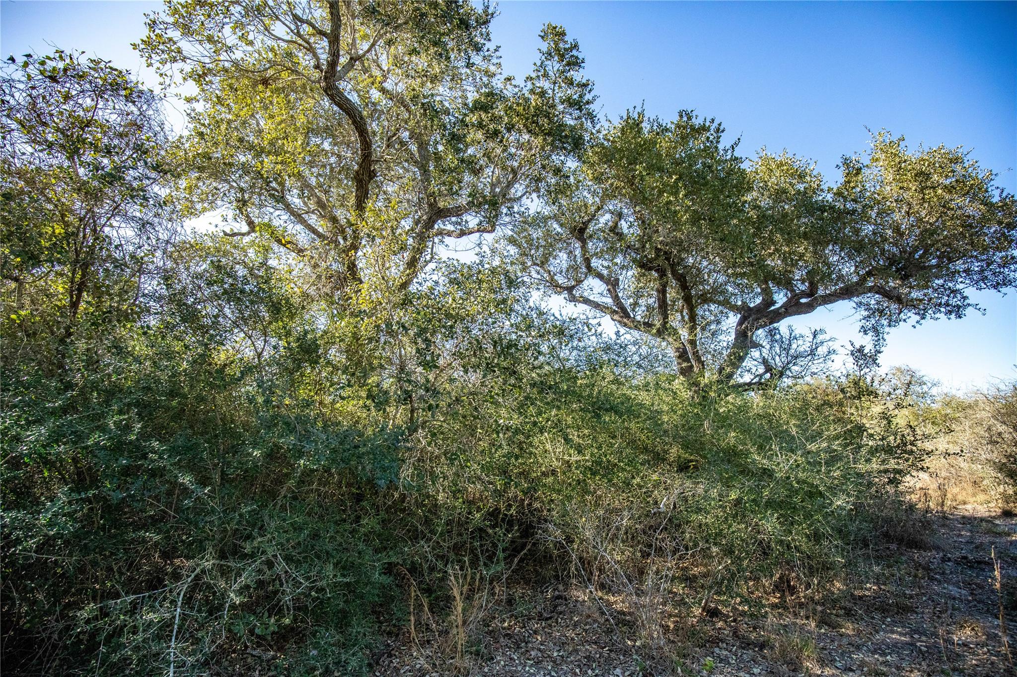 Image 36 of 40 For 6498 Hwy 35