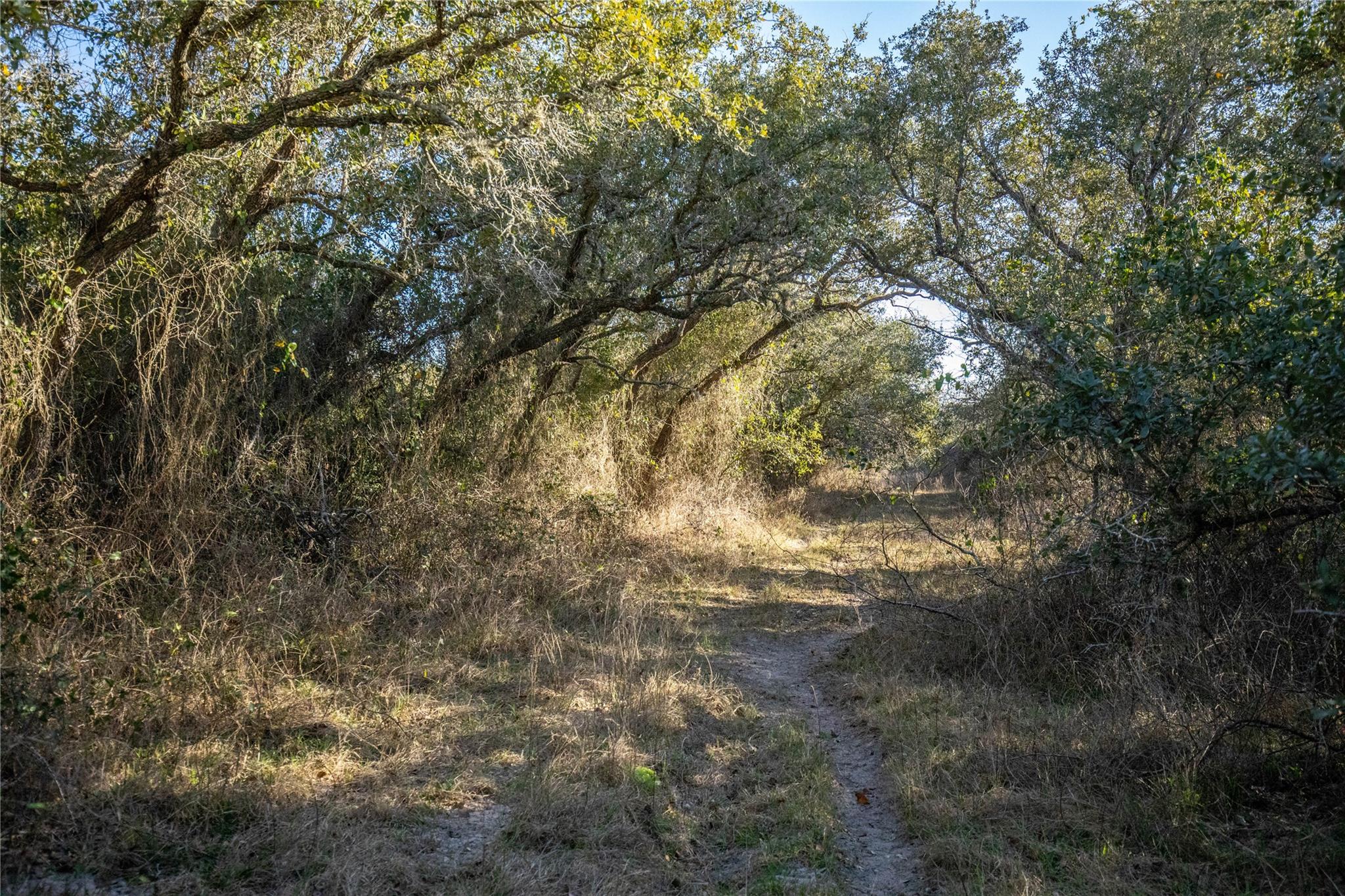 Image 37 of 40 For 6498 Hwy 35